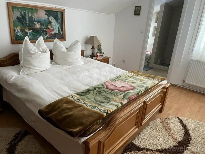 Vila Firuta Borșa – Borşa, România