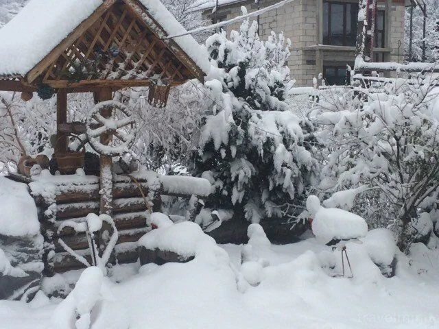 Vila Firuta Borșa – Borşa, România