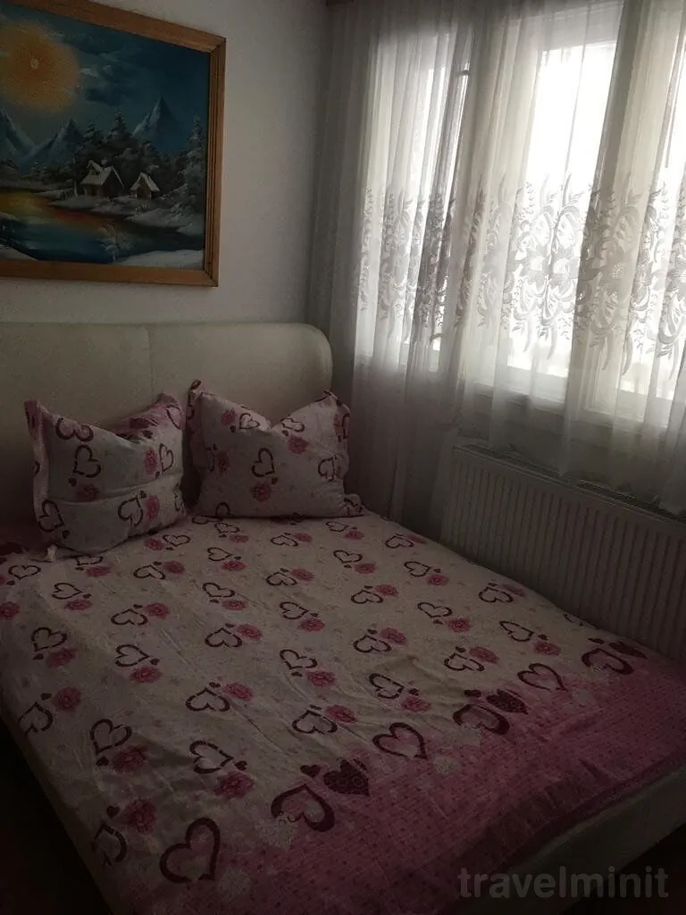 Vila Firuta Borșa – Borşa, România