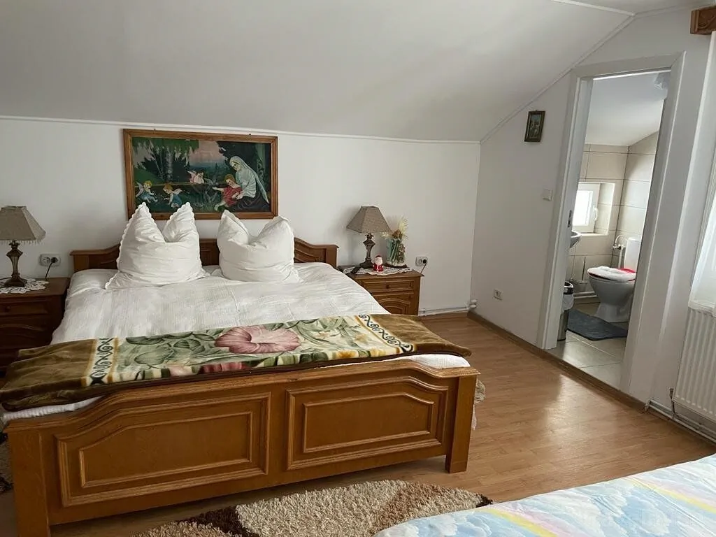Vila Firuta Borșa – Borşa, România