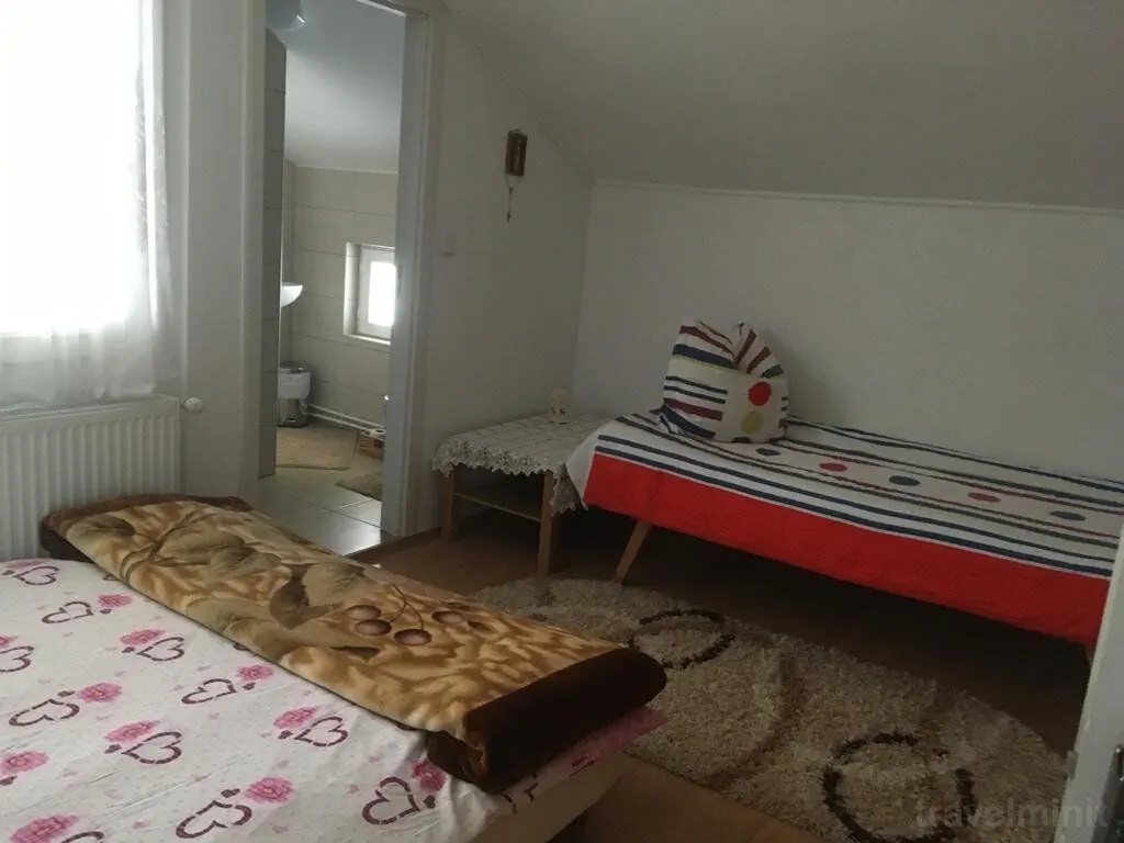 Vila Firuta Borșa – Borşa, România
