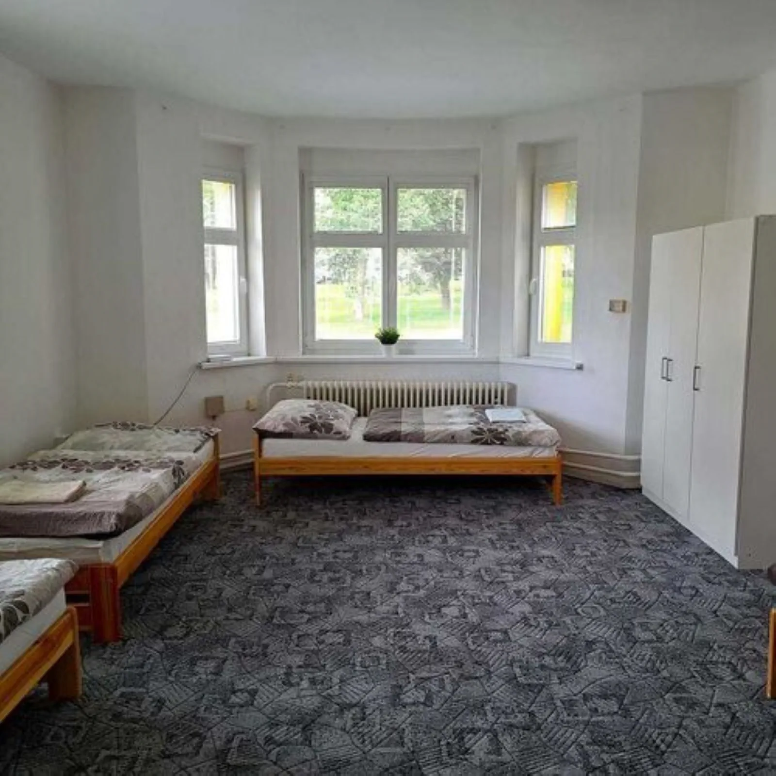 Ubytování Kralovice - foto 2