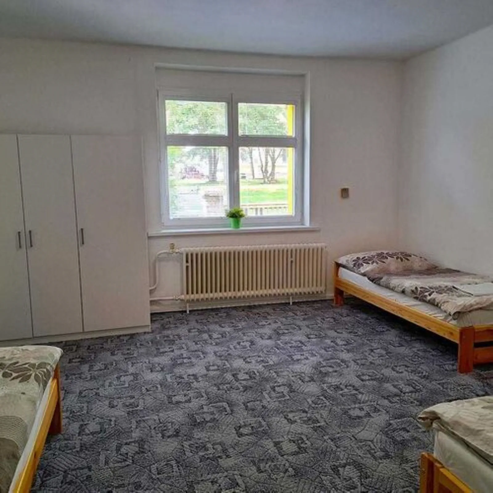 Ubytování Kralovice - foto 6