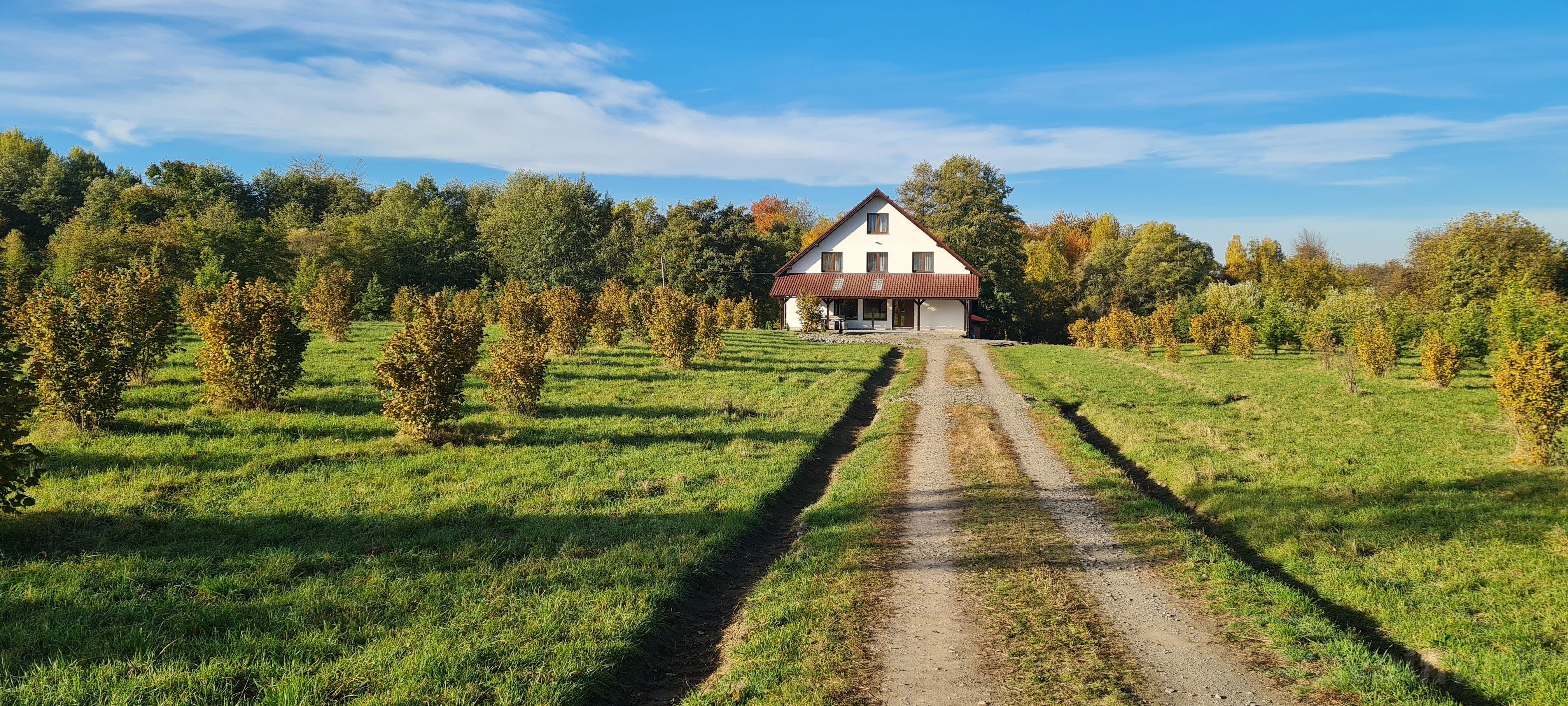 Cabana Oana pe Sebeș Filea – Filea, România