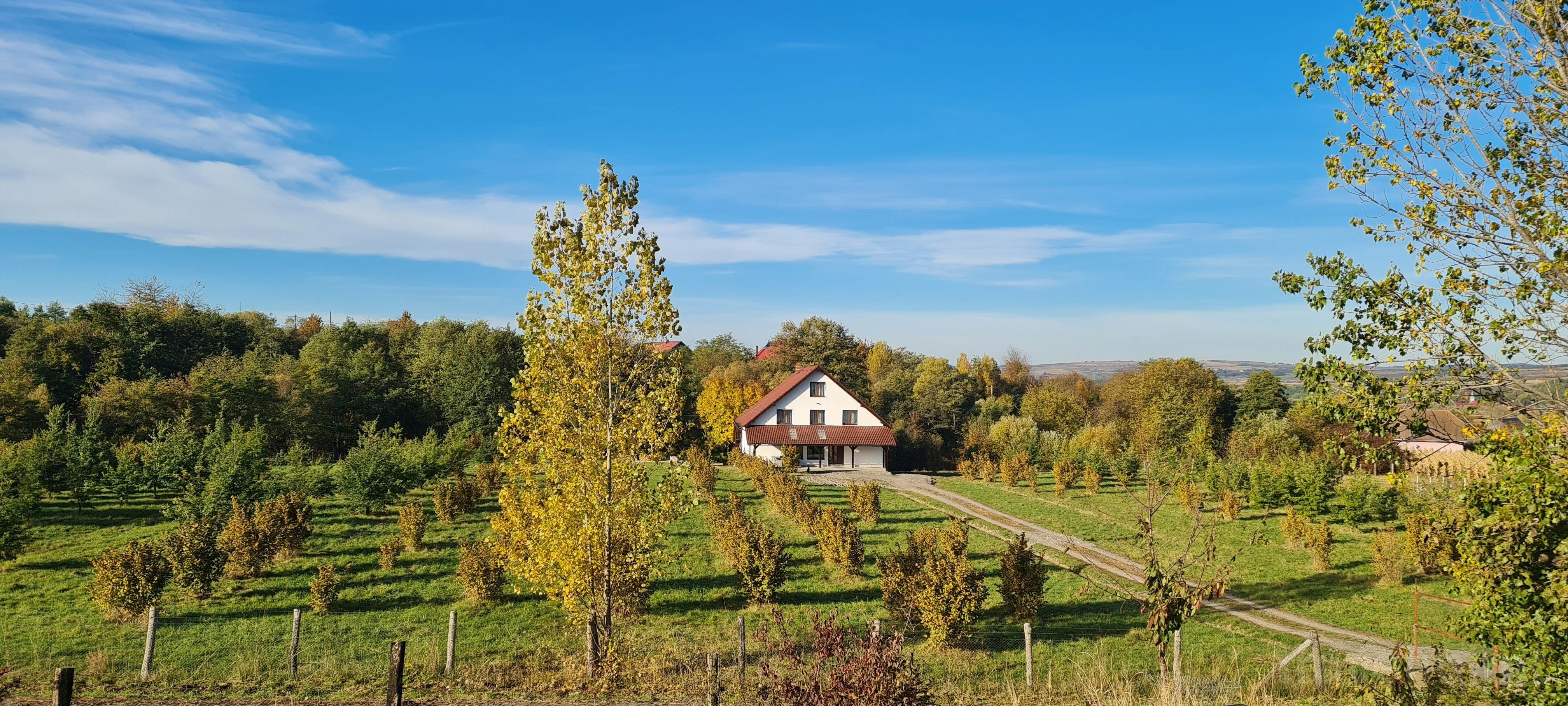 Cabana Oana pe Sebeș Filea – Filea, România