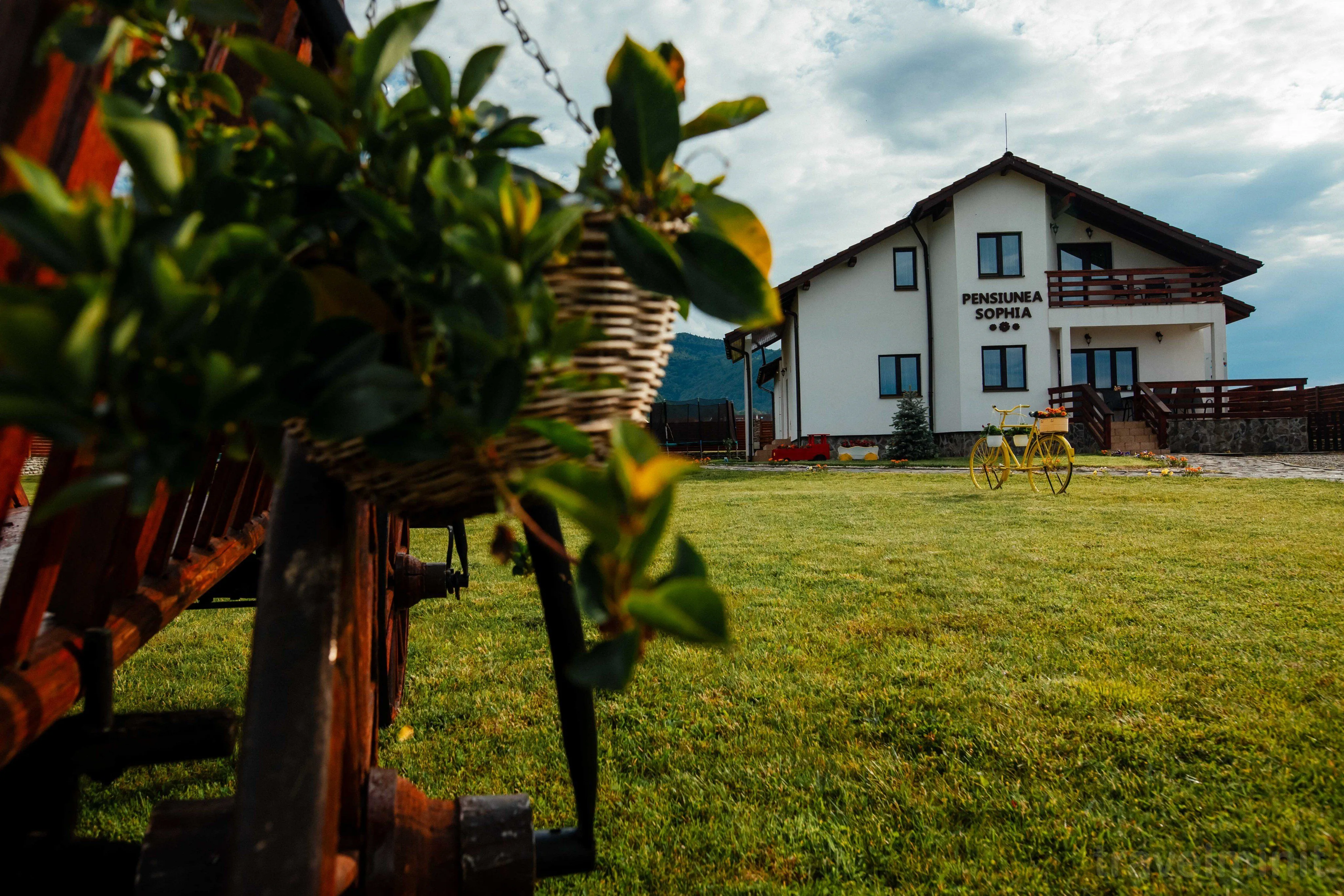 Pensiunea Sophia Stațiunea Climaterică Sâmbăta – Stațiunea Climaterică Sâmbăta, România