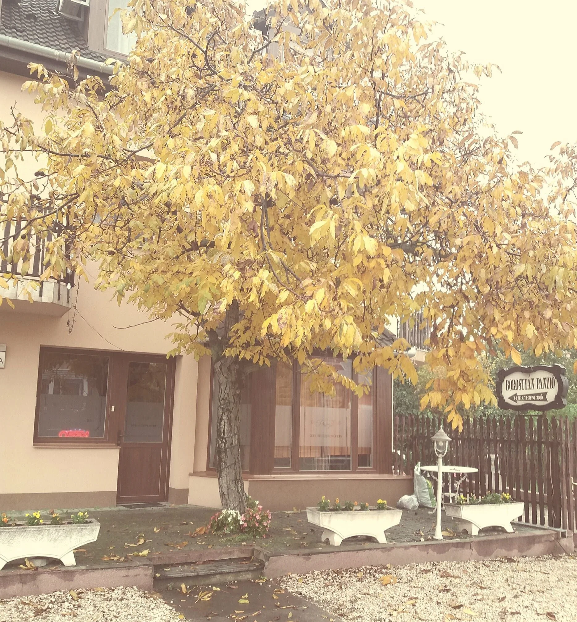 Borostyán Panzió Kiskunfélegyháza - foto 2