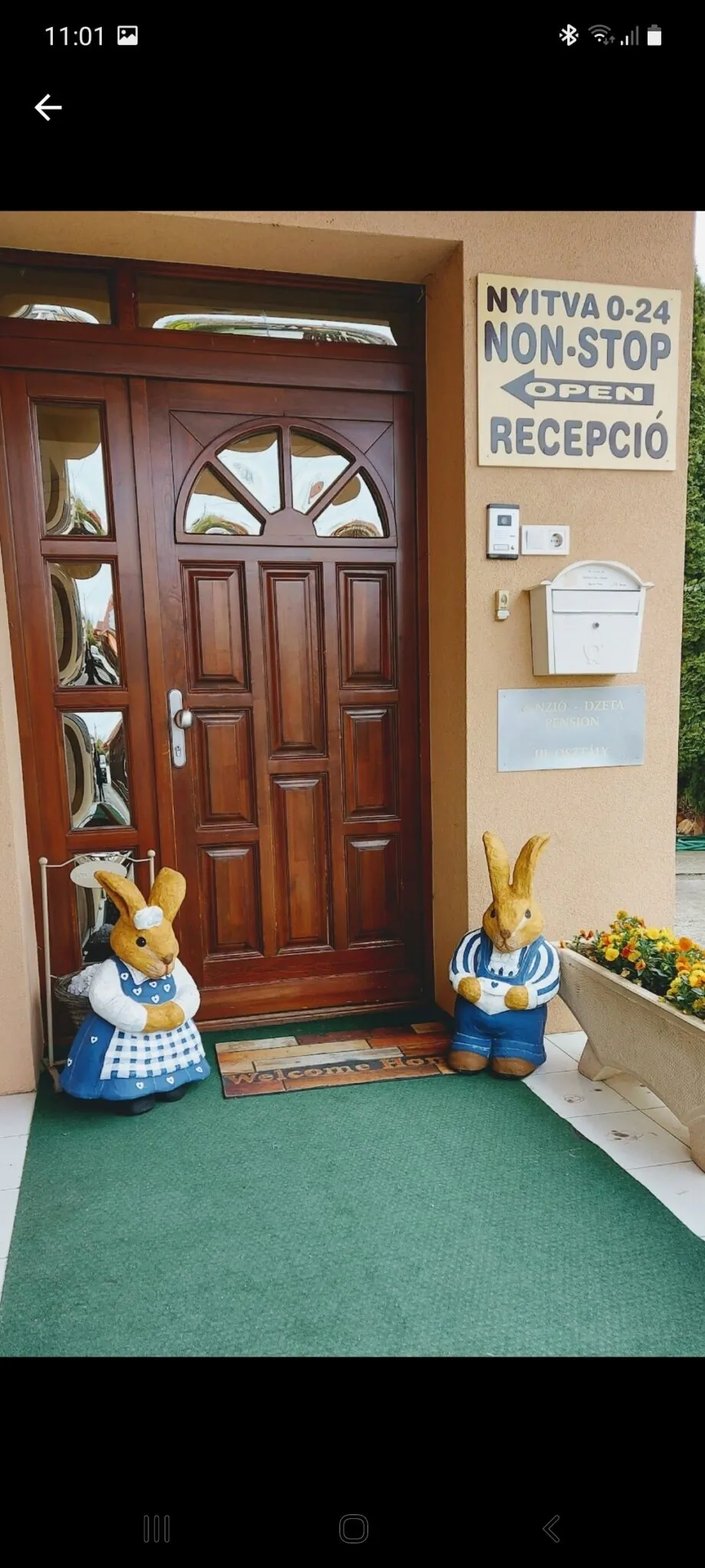 Borostyán Panzió Kiskunfélegyháza - foto 3
