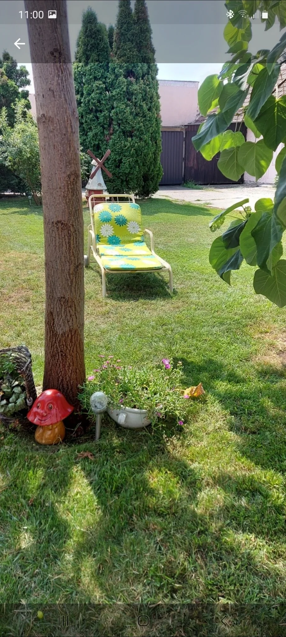 Borostyán Panzió Kiskunfélegyháza - foto 5