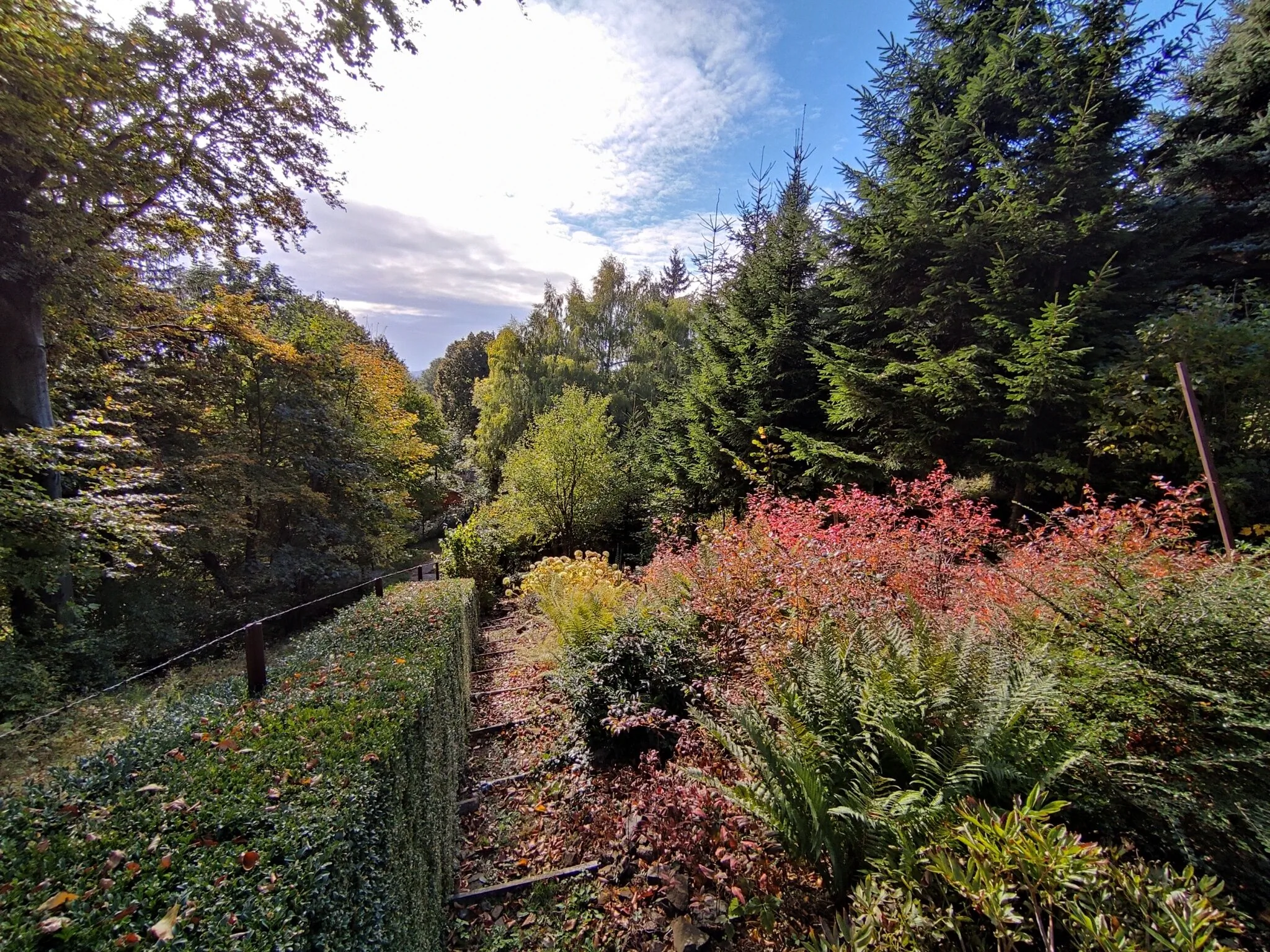 GALYA TRAIL HOUSE Mátraszentimre-Galyatető – Galyatető, Ungaria