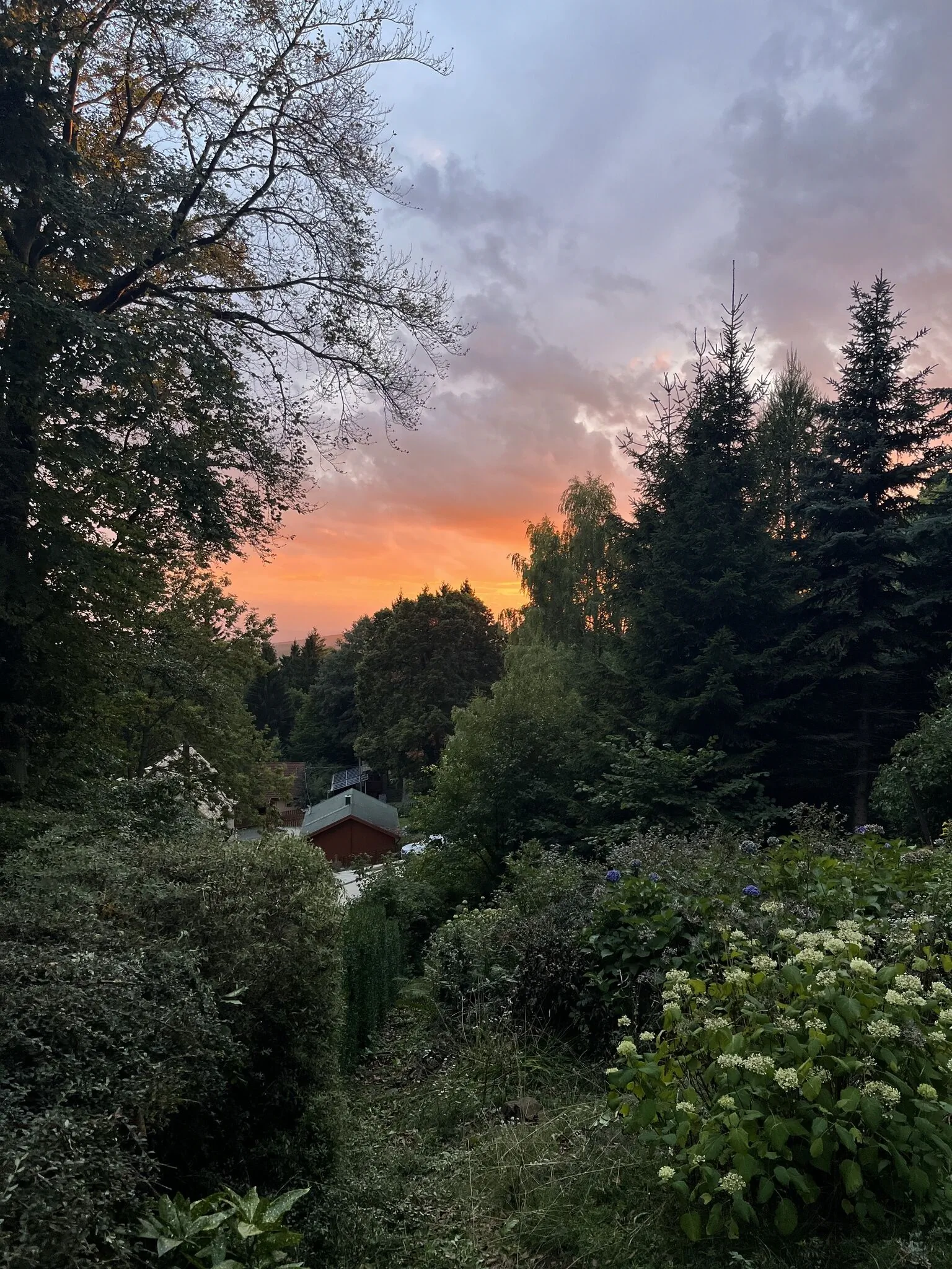 GALYA TRAIL HOUSE Mátraszentimre-Galyatető – Galyatető, Ungaria