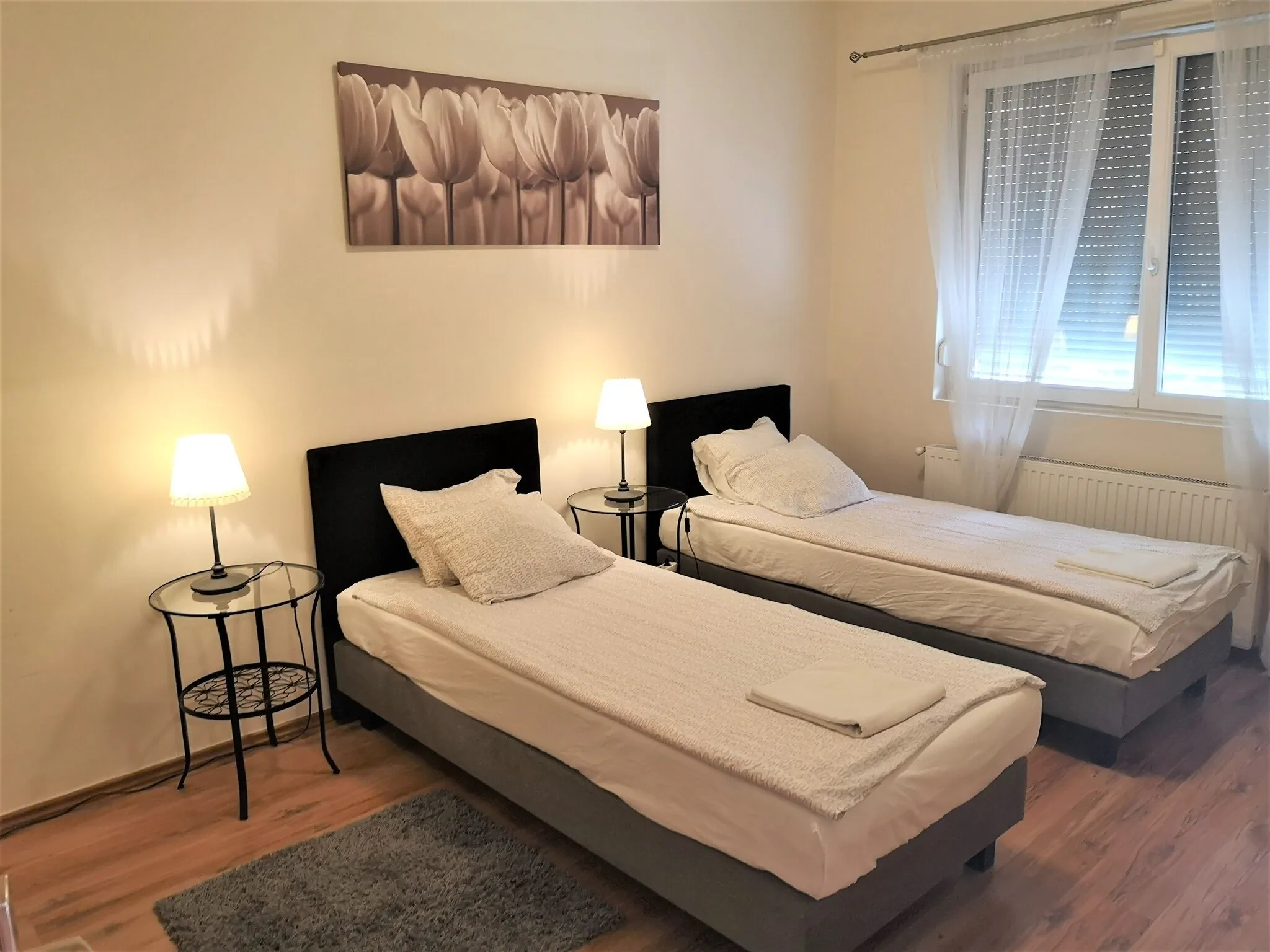 Kikelet Apartmanok Dunakeszi - foto 3
