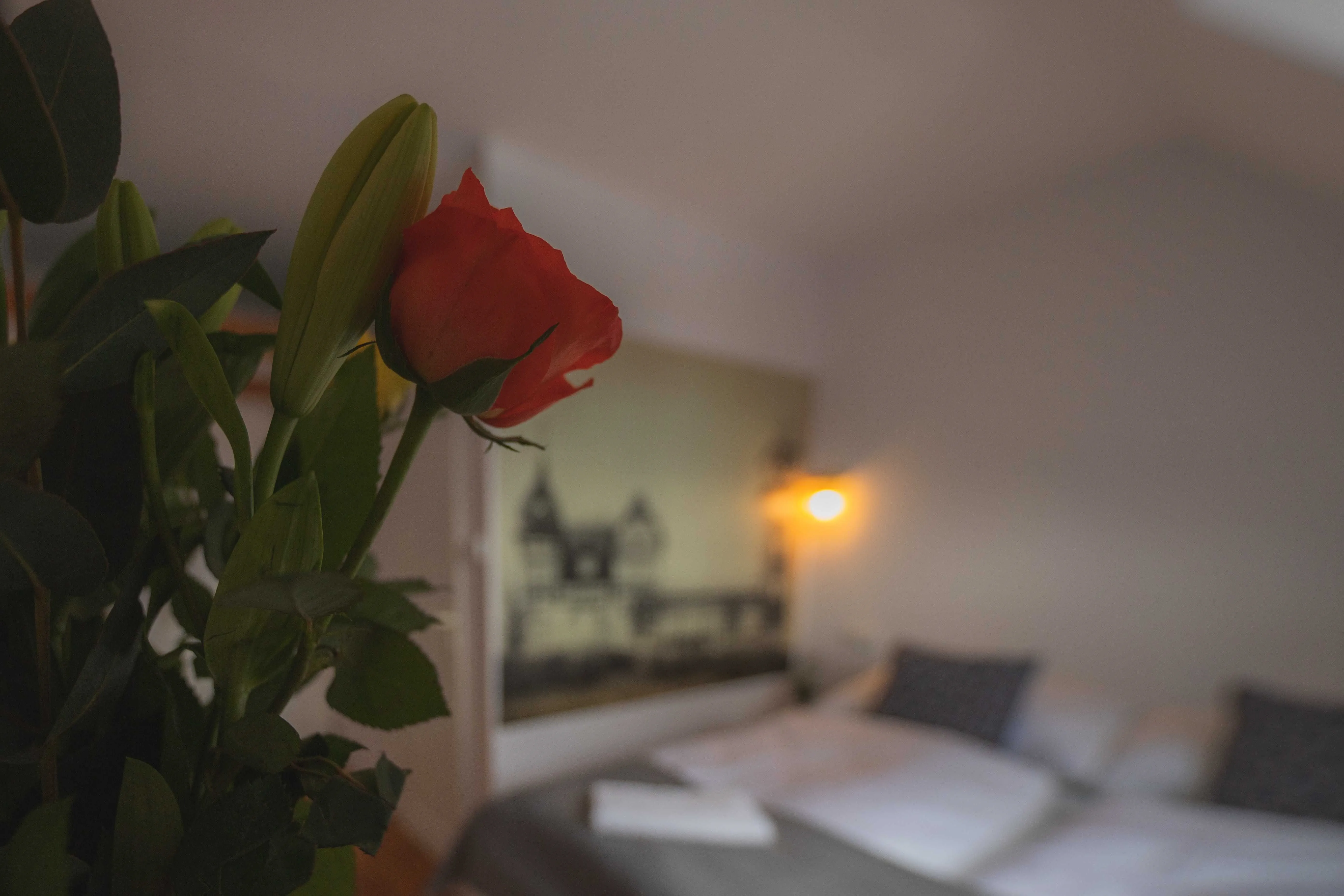Hotel Petřín Jablonec nad Nisou – Jablonec nad Nisou, Republica Cehă