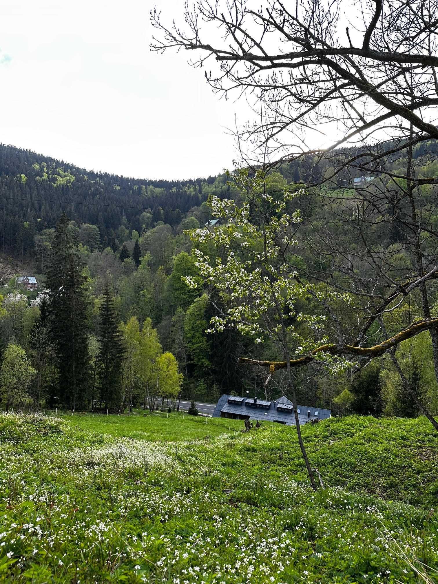 Rákosárna Suites & Apartments Špindlerův Mlýn – Špindlerův Mlýn, Česká republika