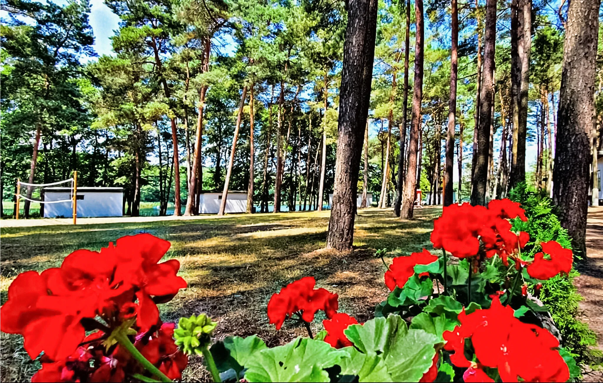 Vendégház Sulnowo - PKA208 – Sulnowo, Polska
