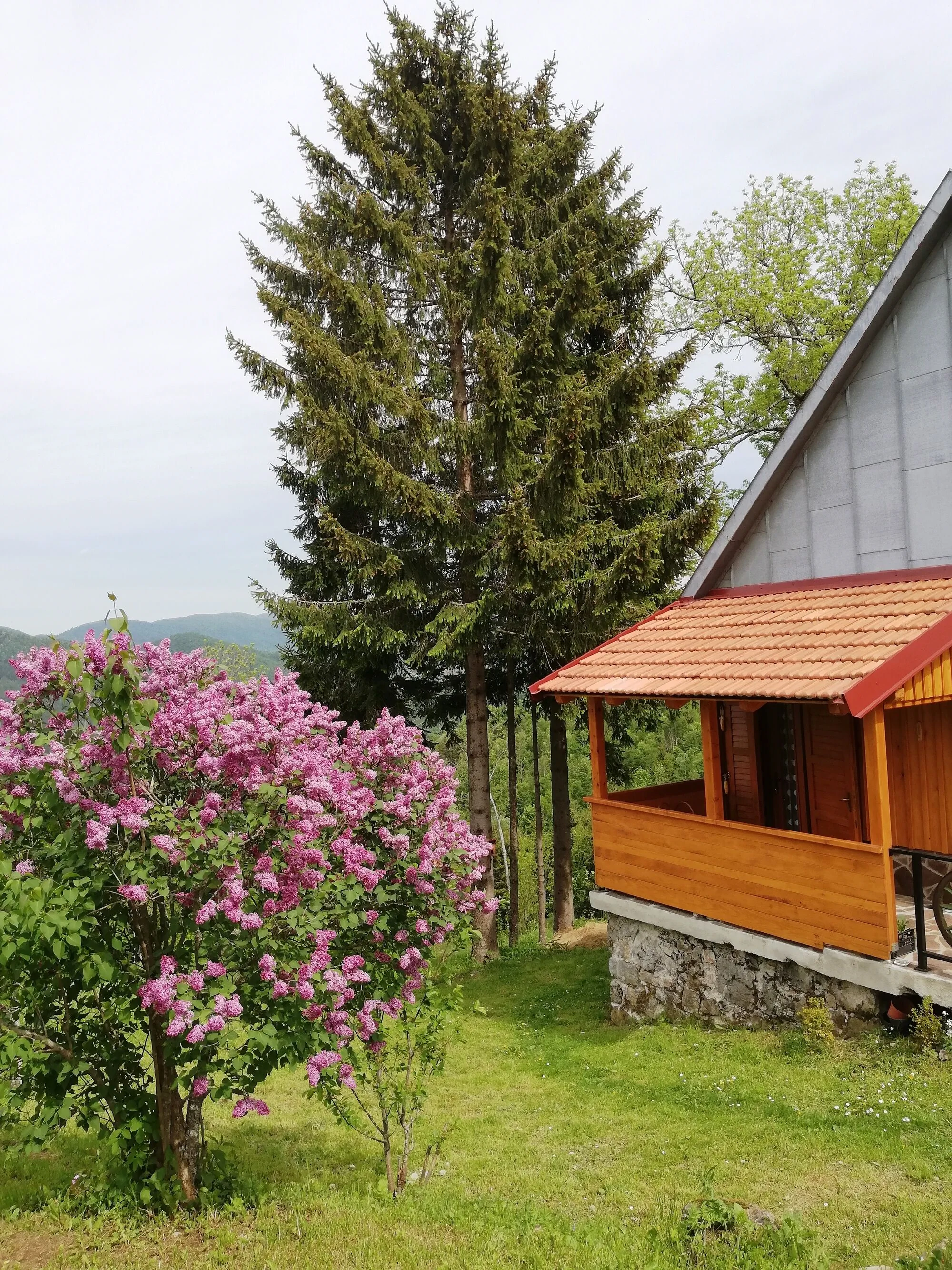 Holiday House With A Parking Space Brestova Draga, Gorski Kotar - 18374 Brestova Draga – Brestova Draga, Croația