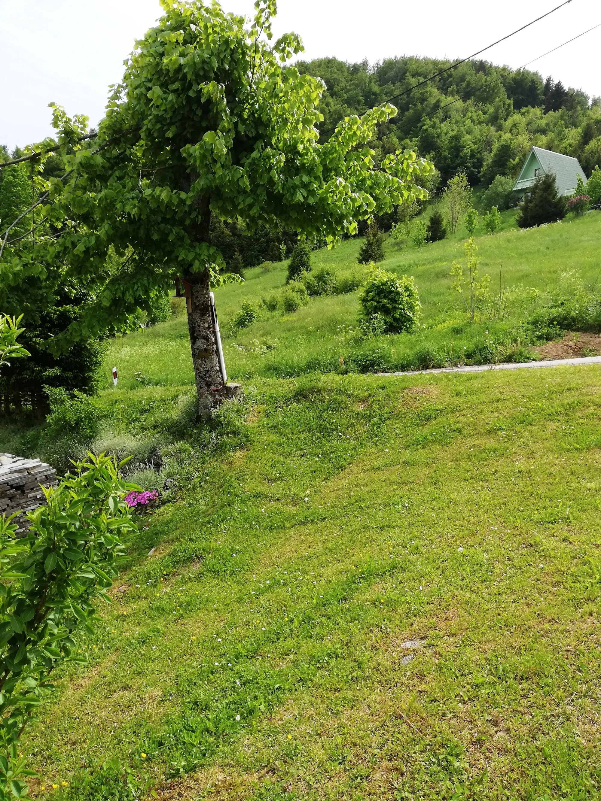 Holiday House With A Parking Space Brestova Draga, Gorski Kotar - 18374 Brestova Draga – Brestova Draga, Croația