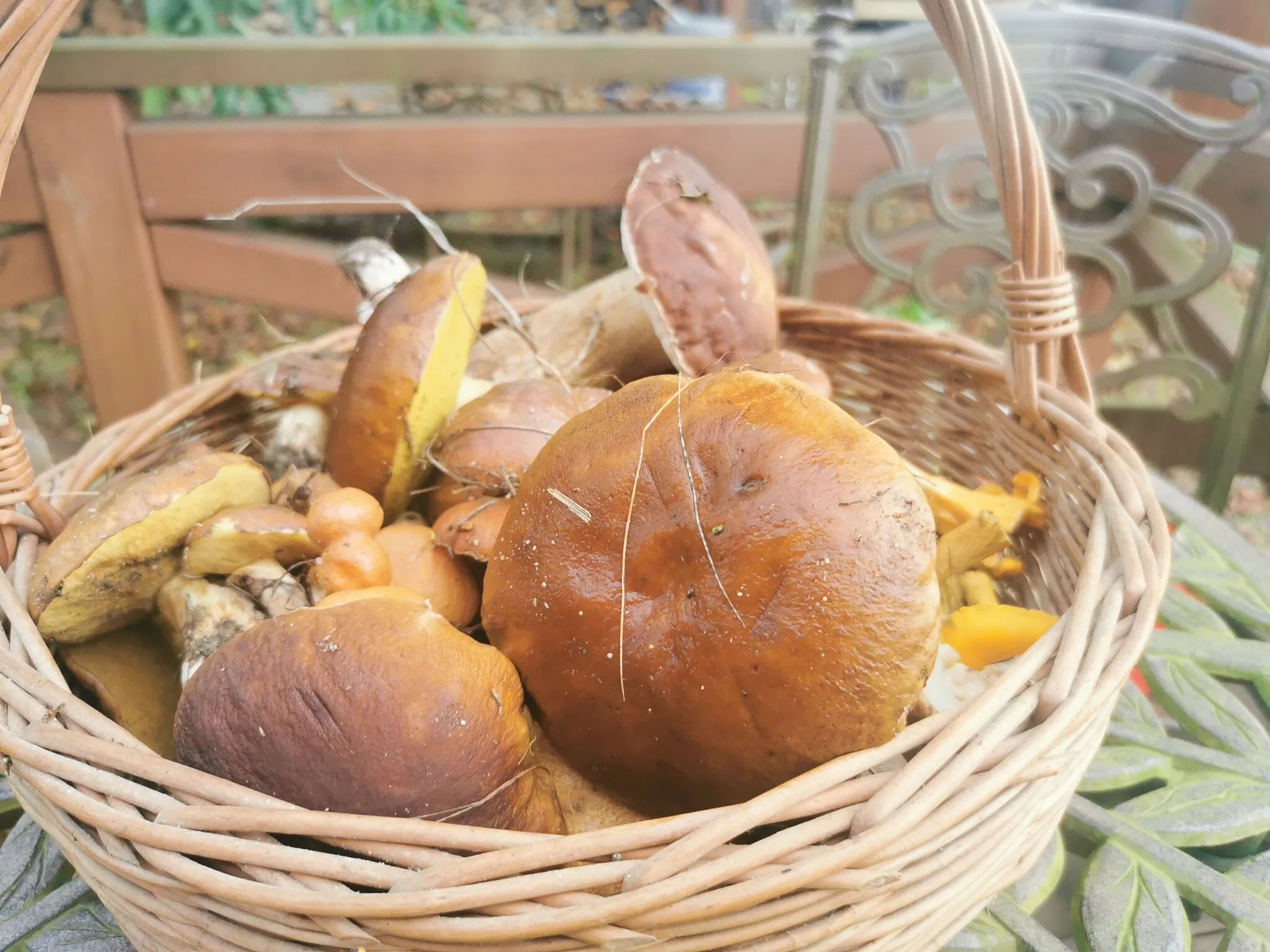 Agroturystyka Stajnia KANTHAKA Jedwabno – Jedwabno, Polonia