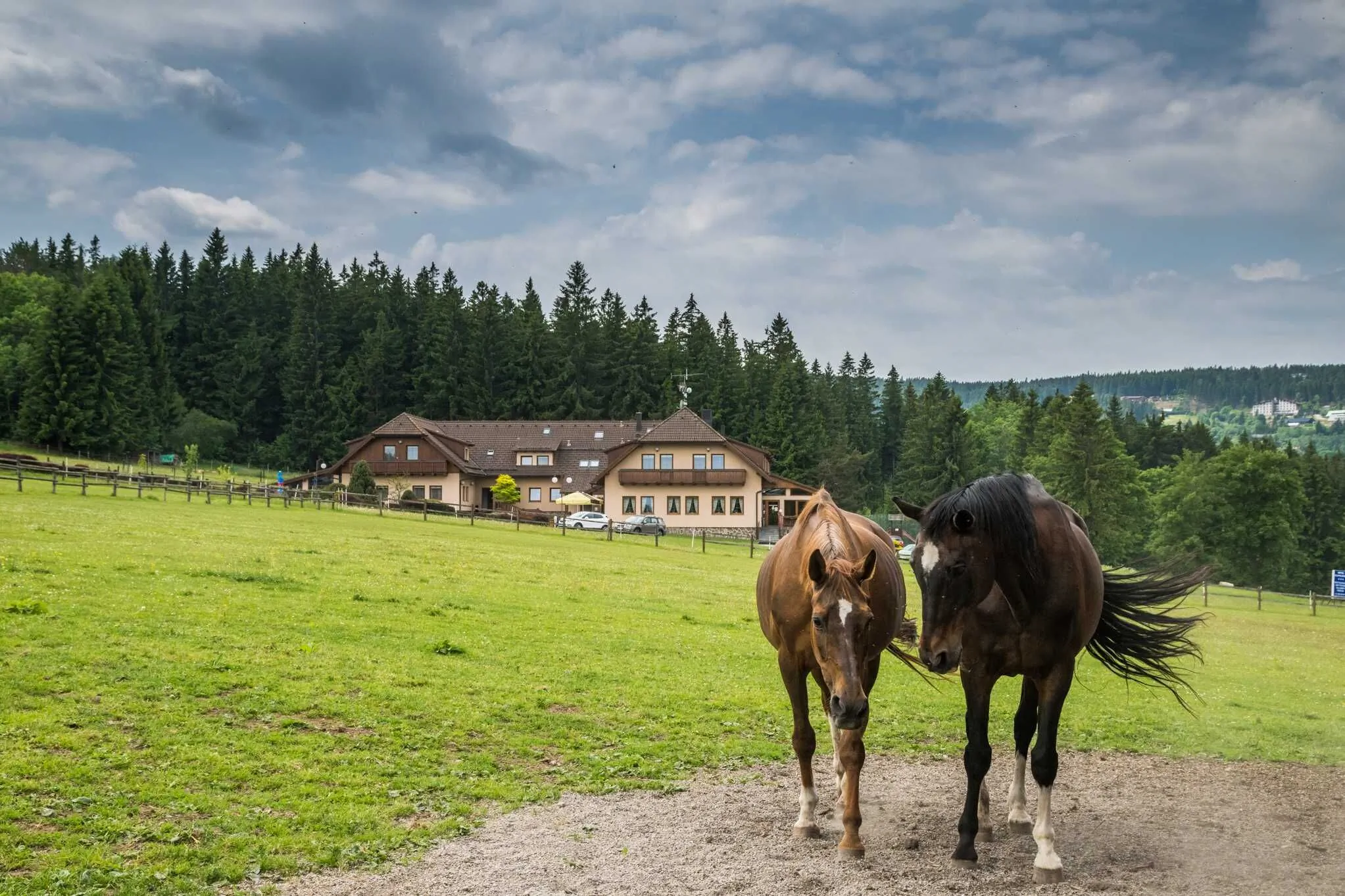 Hotel Elsyn dvůr Zdíkov – Zdíkov, Česká republika