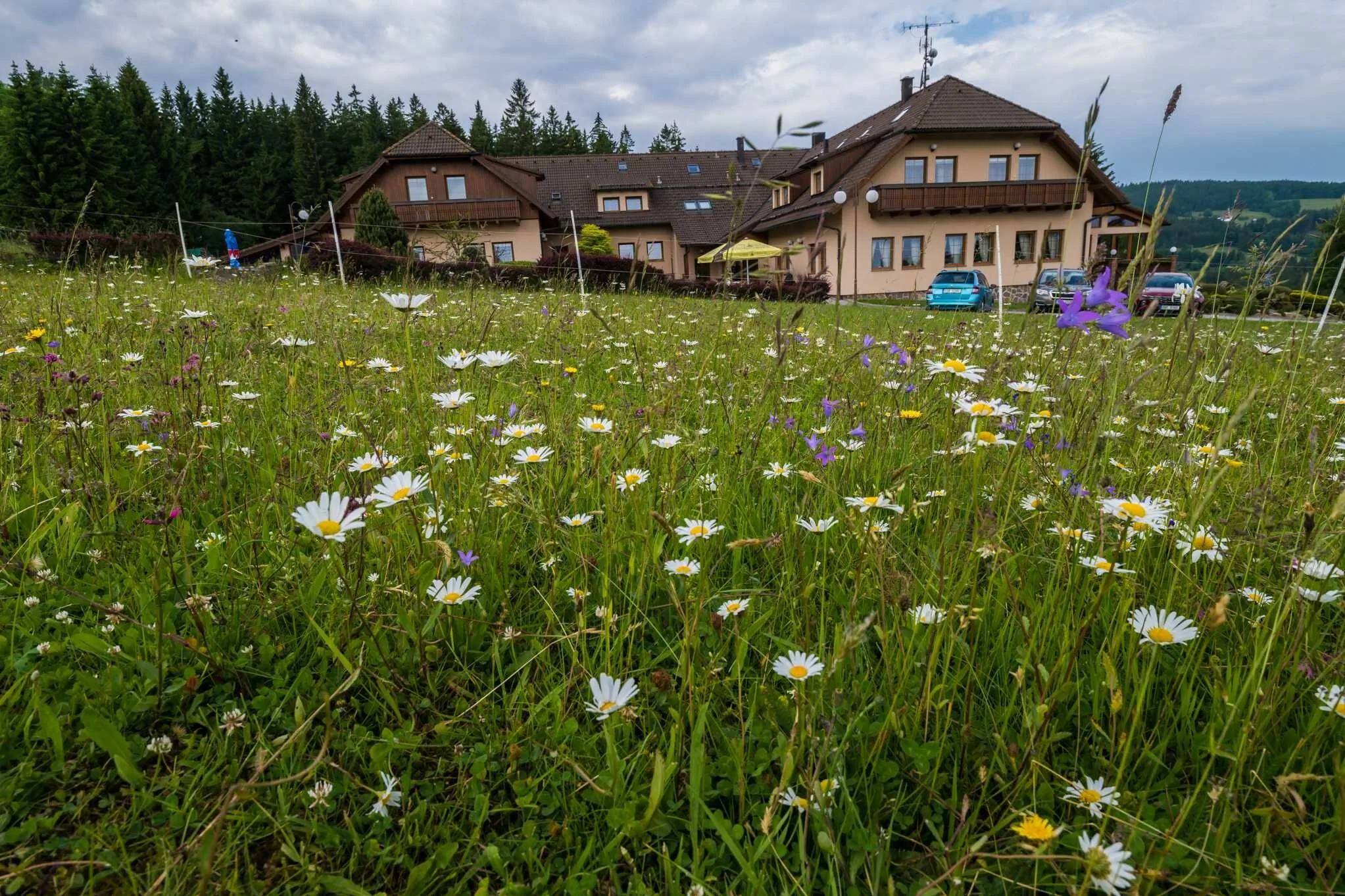 Hotel Elsyn dvůr Zdíkov – Zdíkov, Česká republika