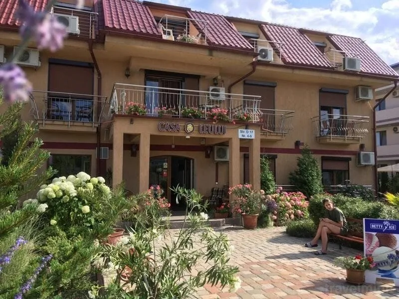 Ametist Casa Leului Mamaia Nord - foto 2