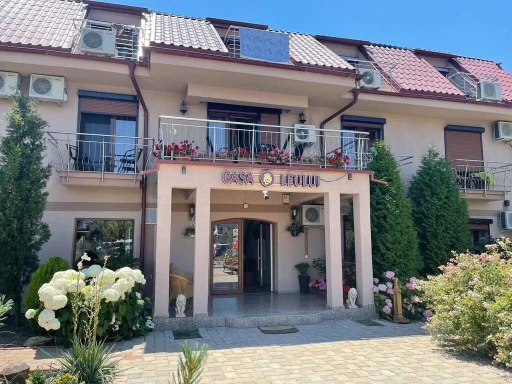 Ametist Casa Leului Mamaia Nord - foto 1
