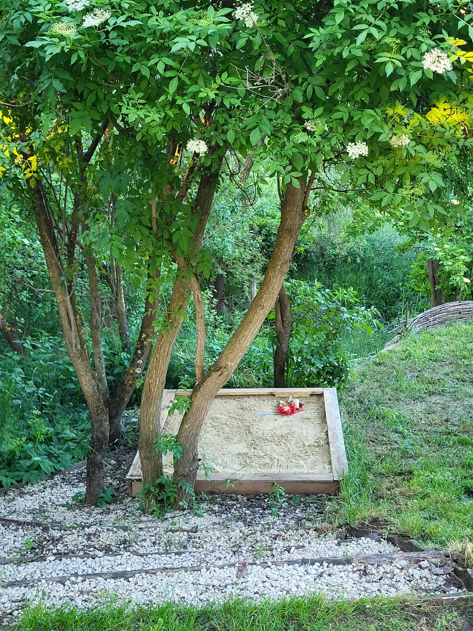 Bók Tanya és Vendégház Hidegkút - foto 5