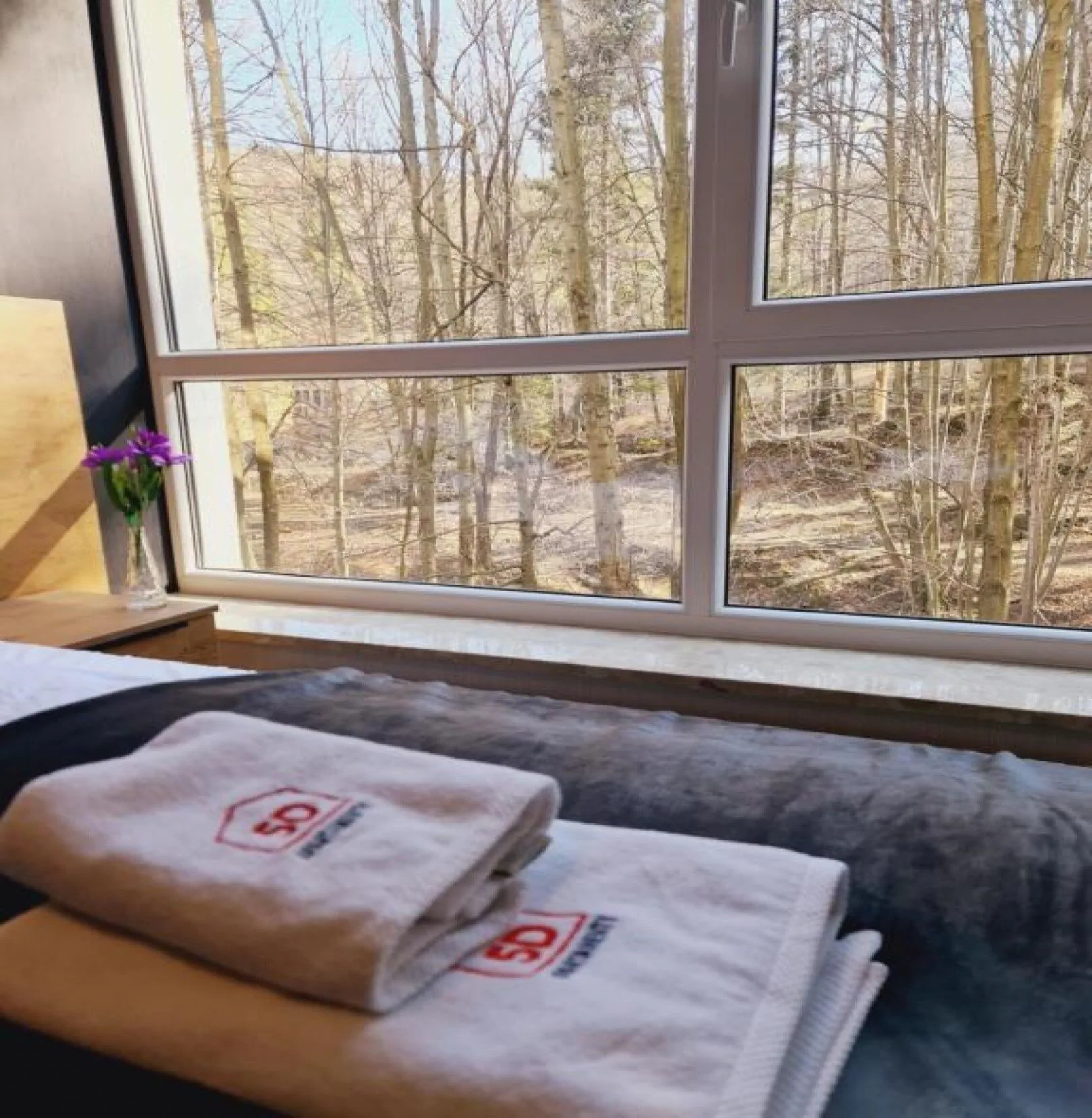 Apartament Resort Kozubnik SPA 01 - 5D Apartamenty – Porąbka, Polonia