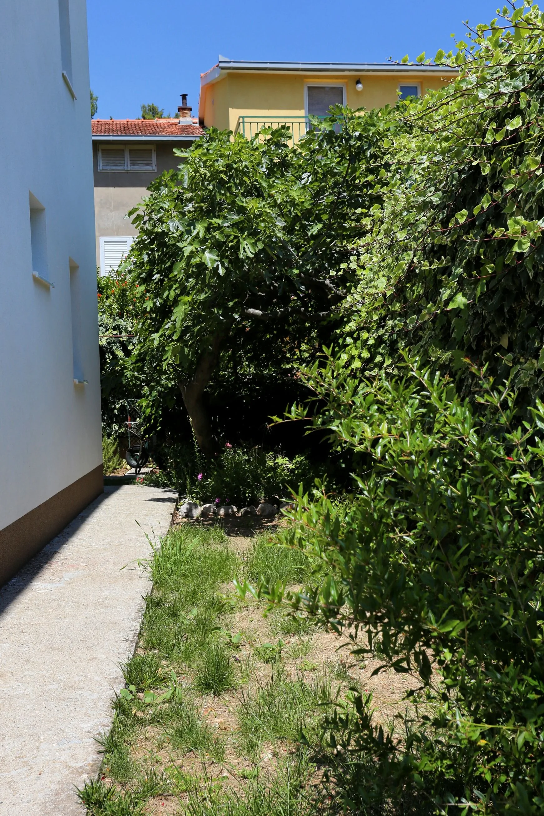 Apartments By The Sea Trpanj, Pelješac - 3157 Trpanj – Comuna Trpanj, Croația