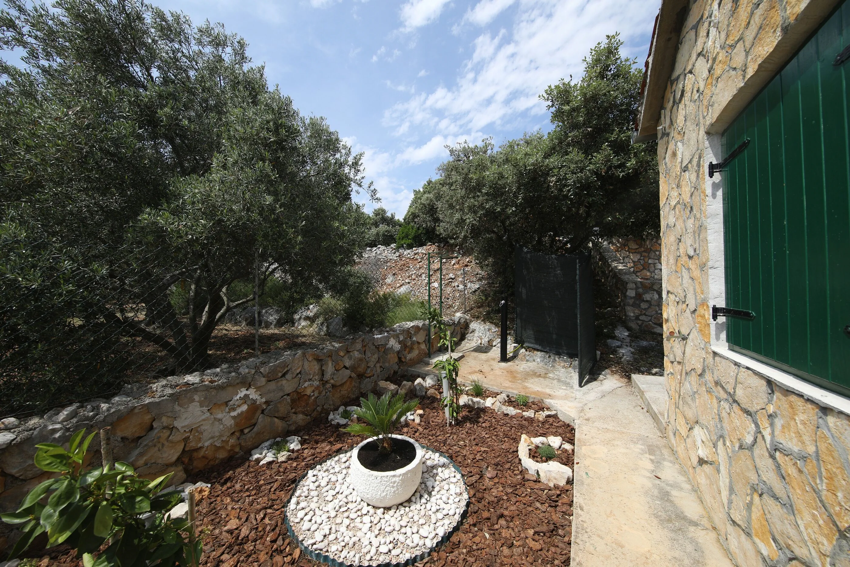 House Olive Tree Tkon - foto 10