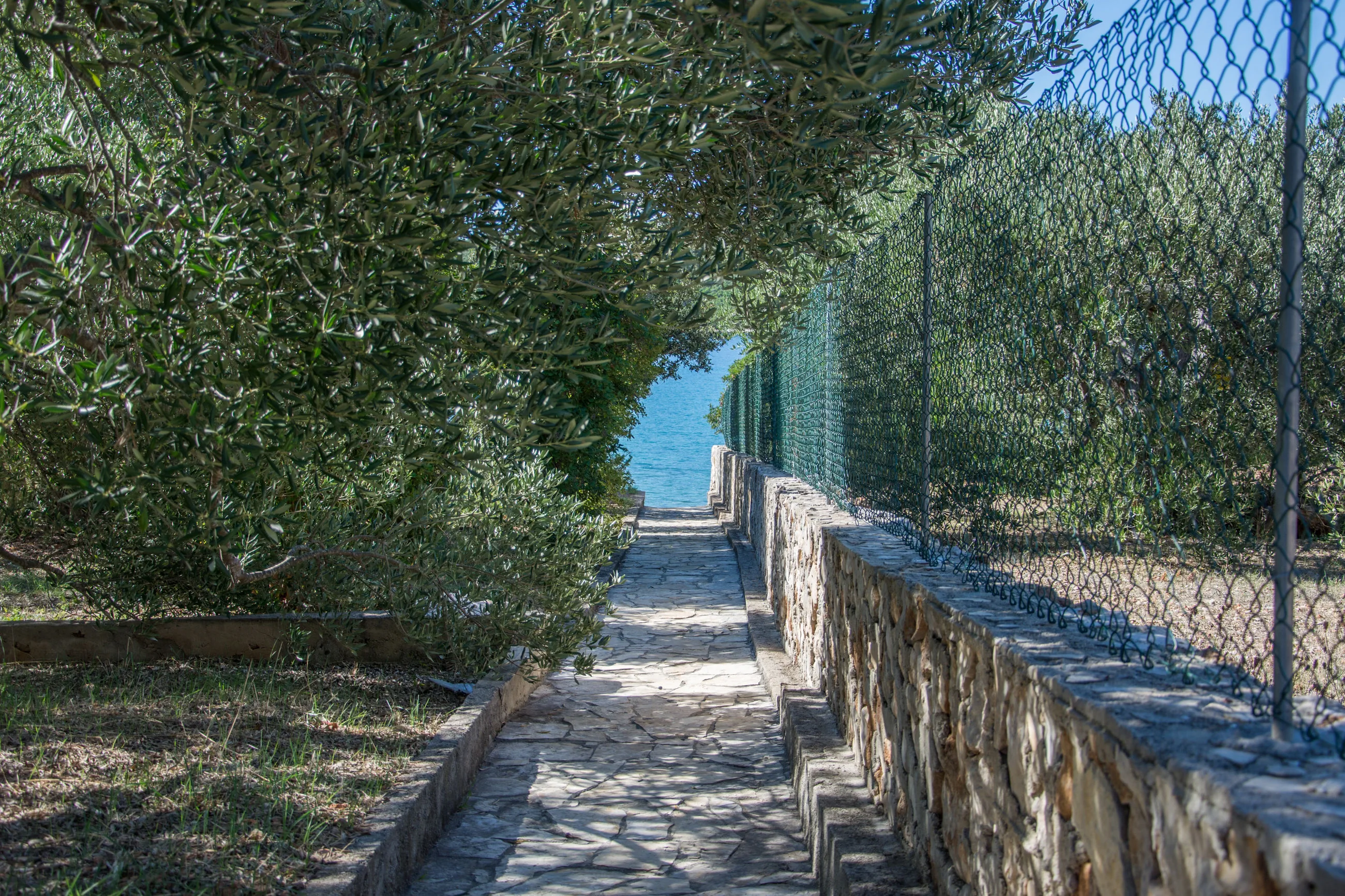 House Olive Tree Tkon - foto 3