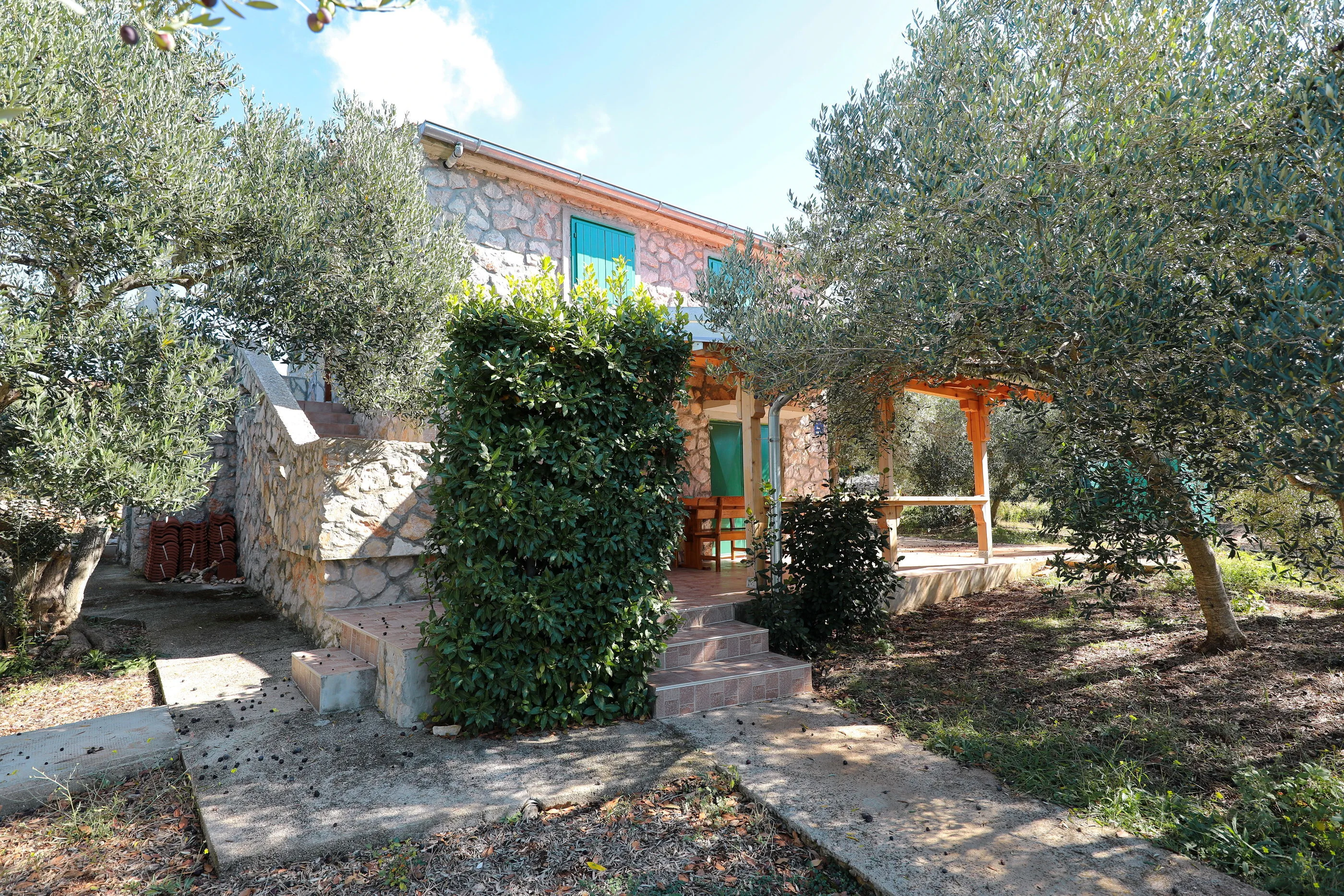 House Angelina Tkon - foto 5