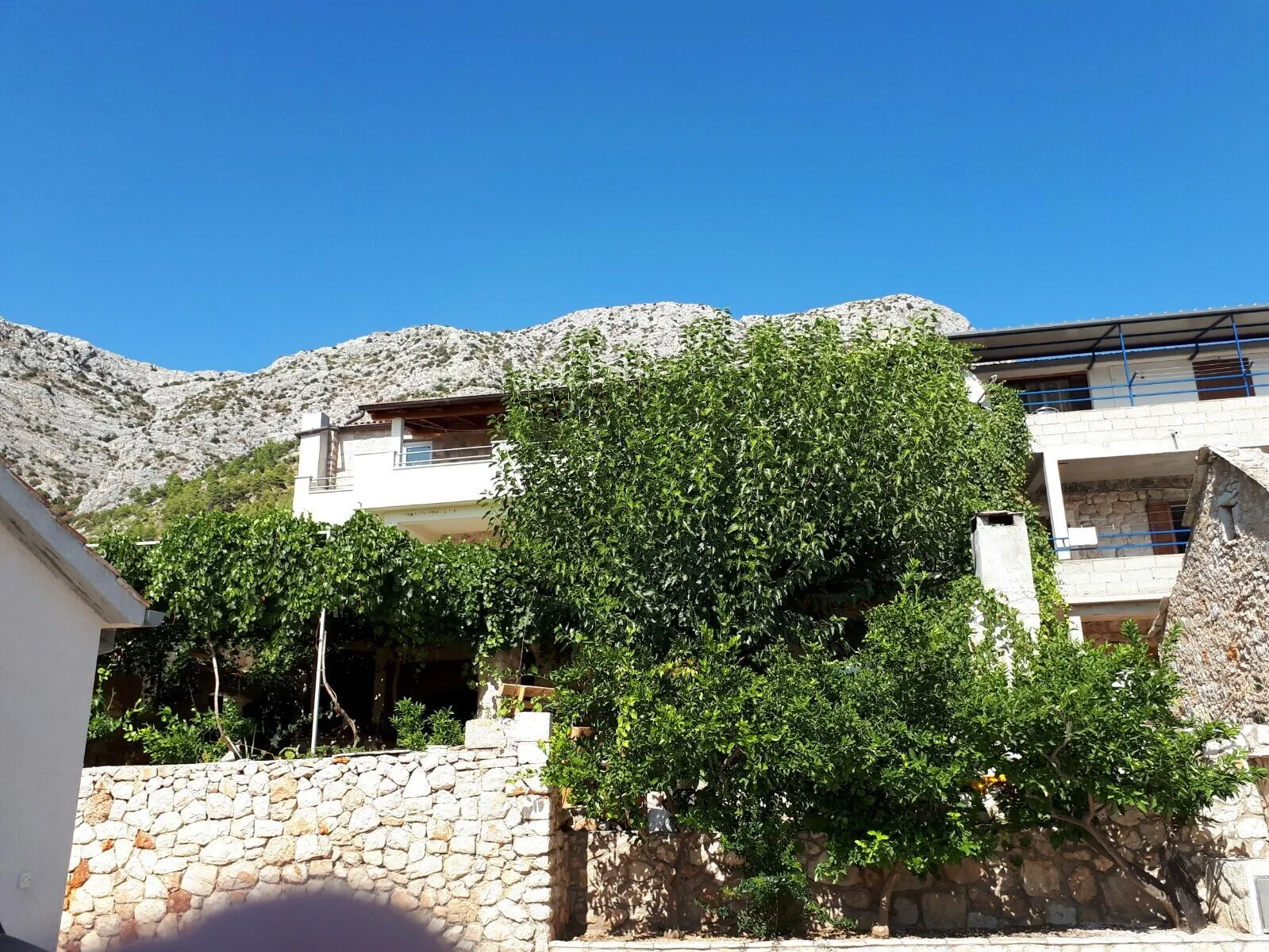Apartments With Parking Space Ivan Dolac Hvar - 10434 - foto 3