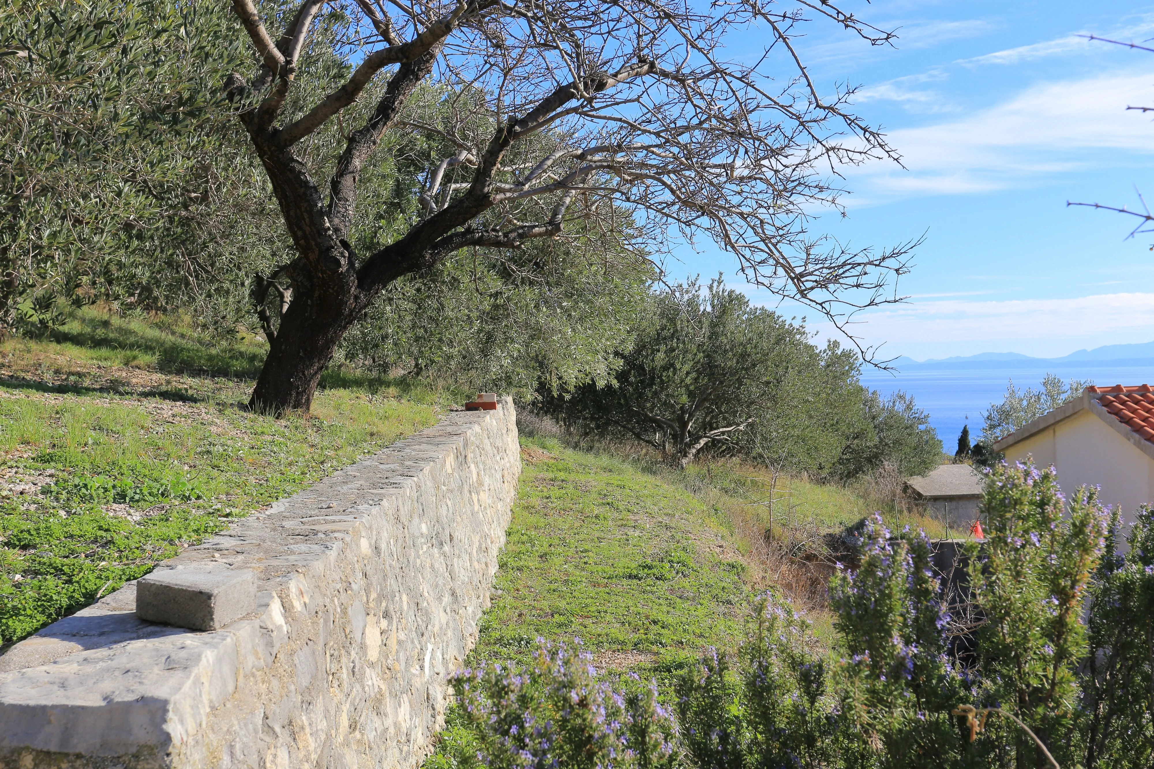 Apartments With Parking Space Brela, Makarska - 18495 Brela - foto 9