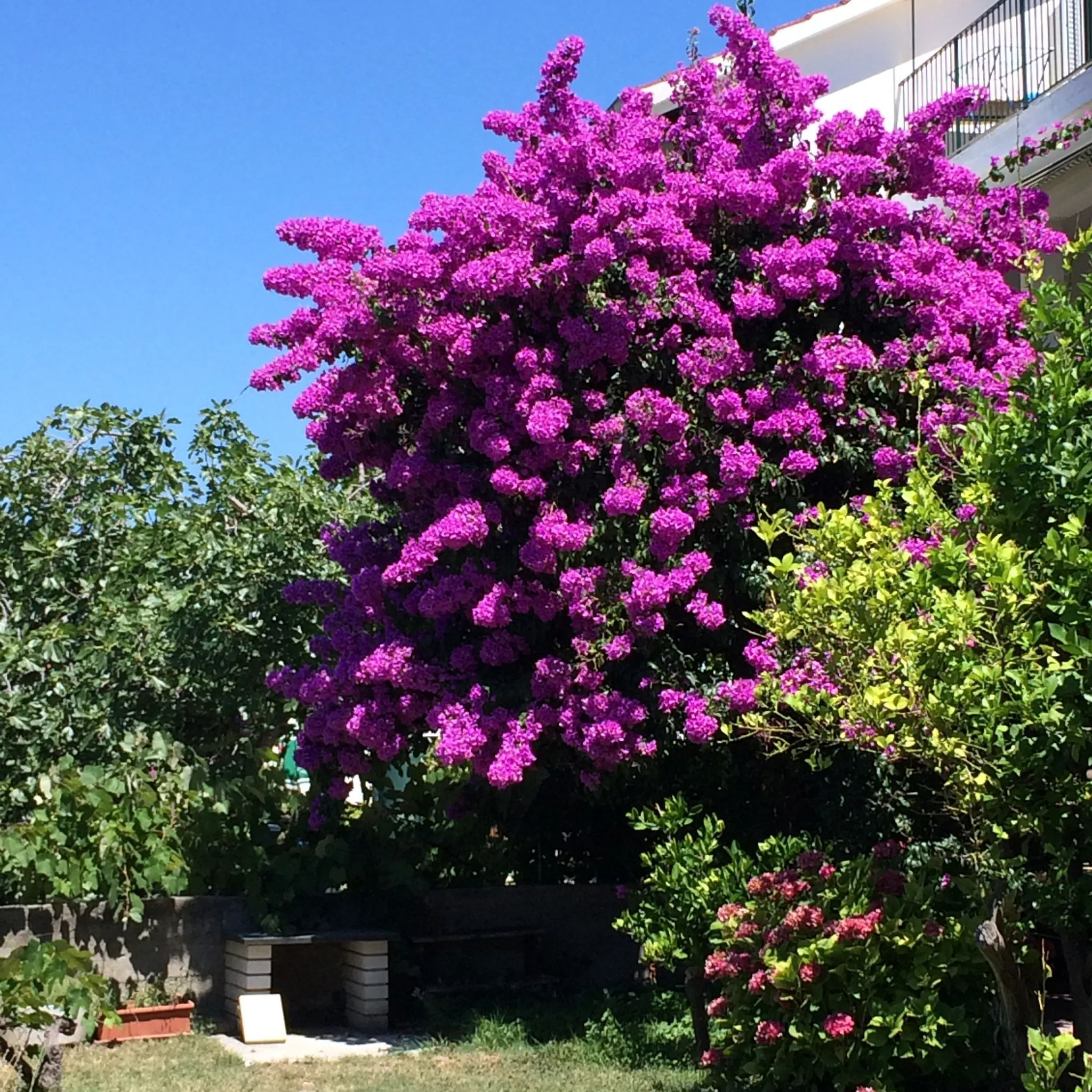 Apartment Villa Strenja Banjol - foto 9