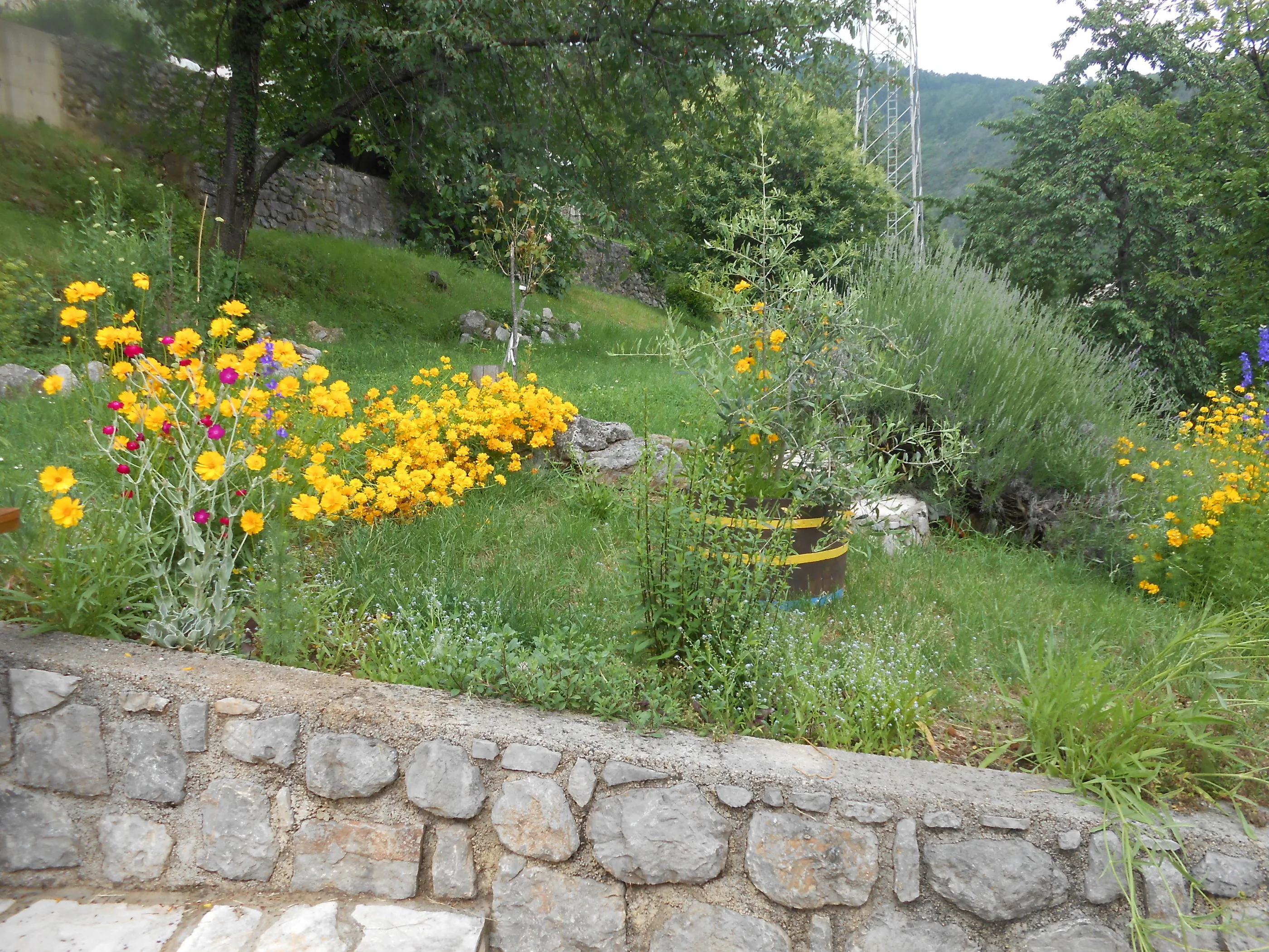 Apartments Vesna Moscenicka Draga - foto 3