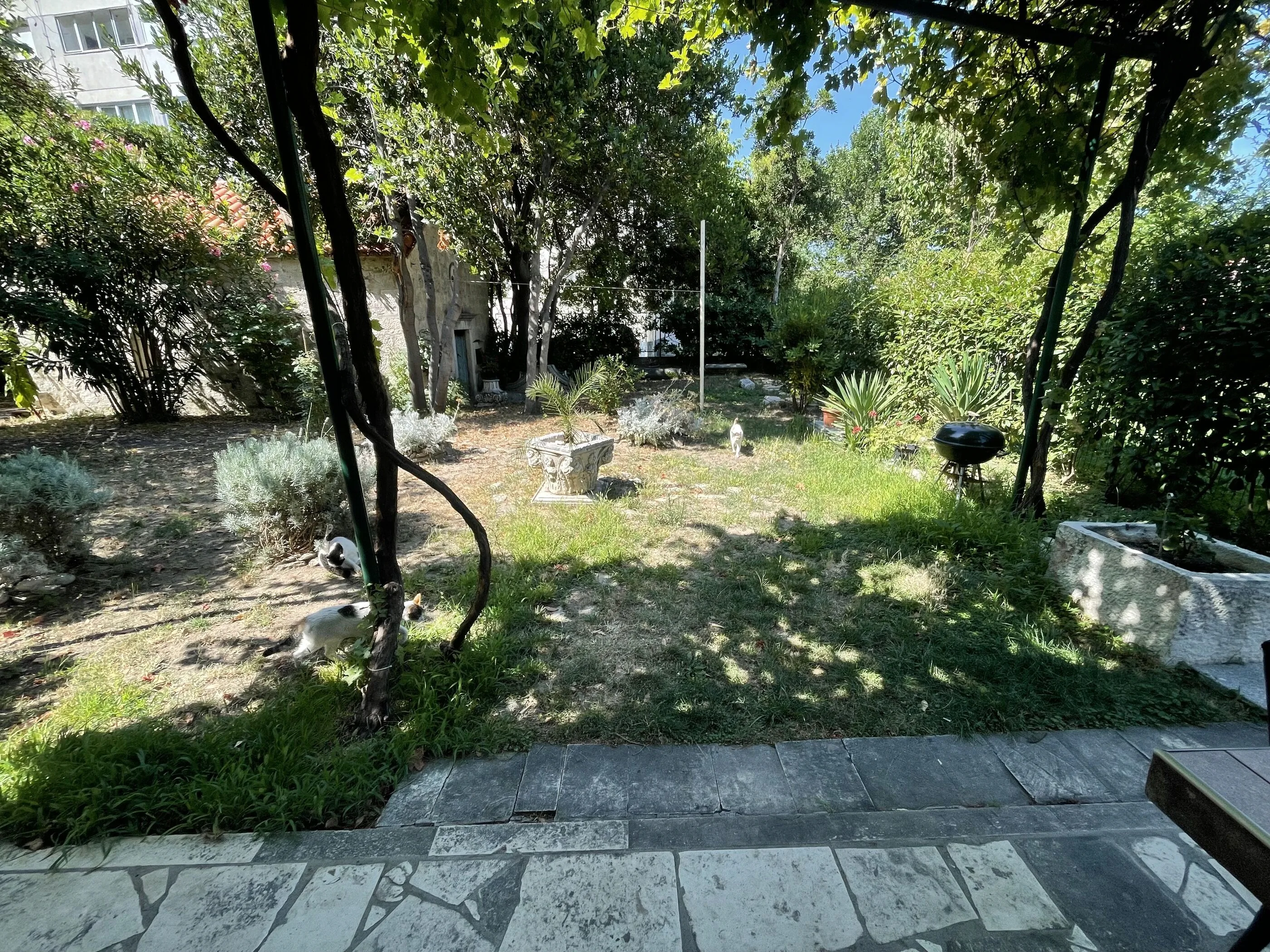 Apartments Jugo i bura Omis - foto 5