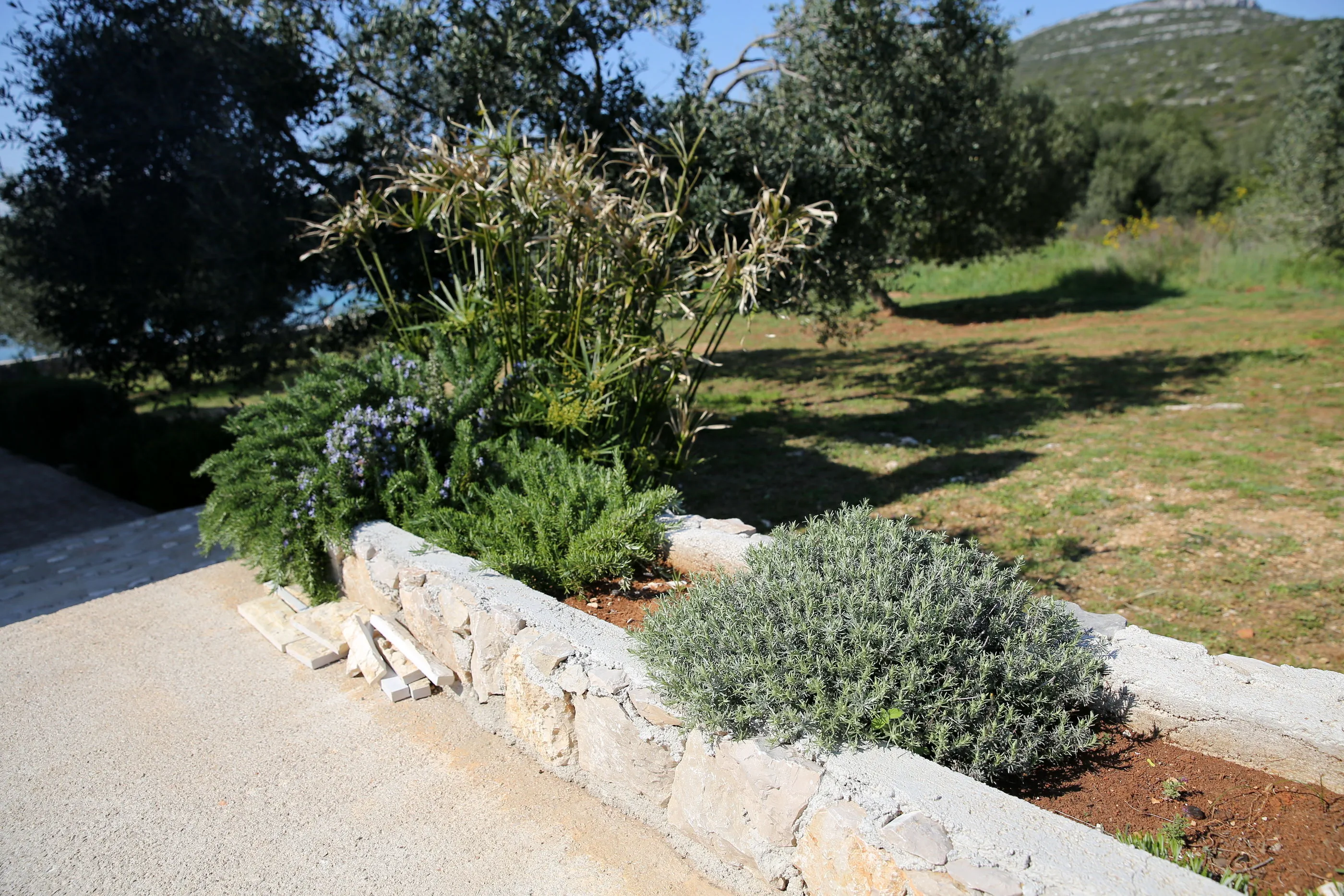 House Idro Pasman - foto 9