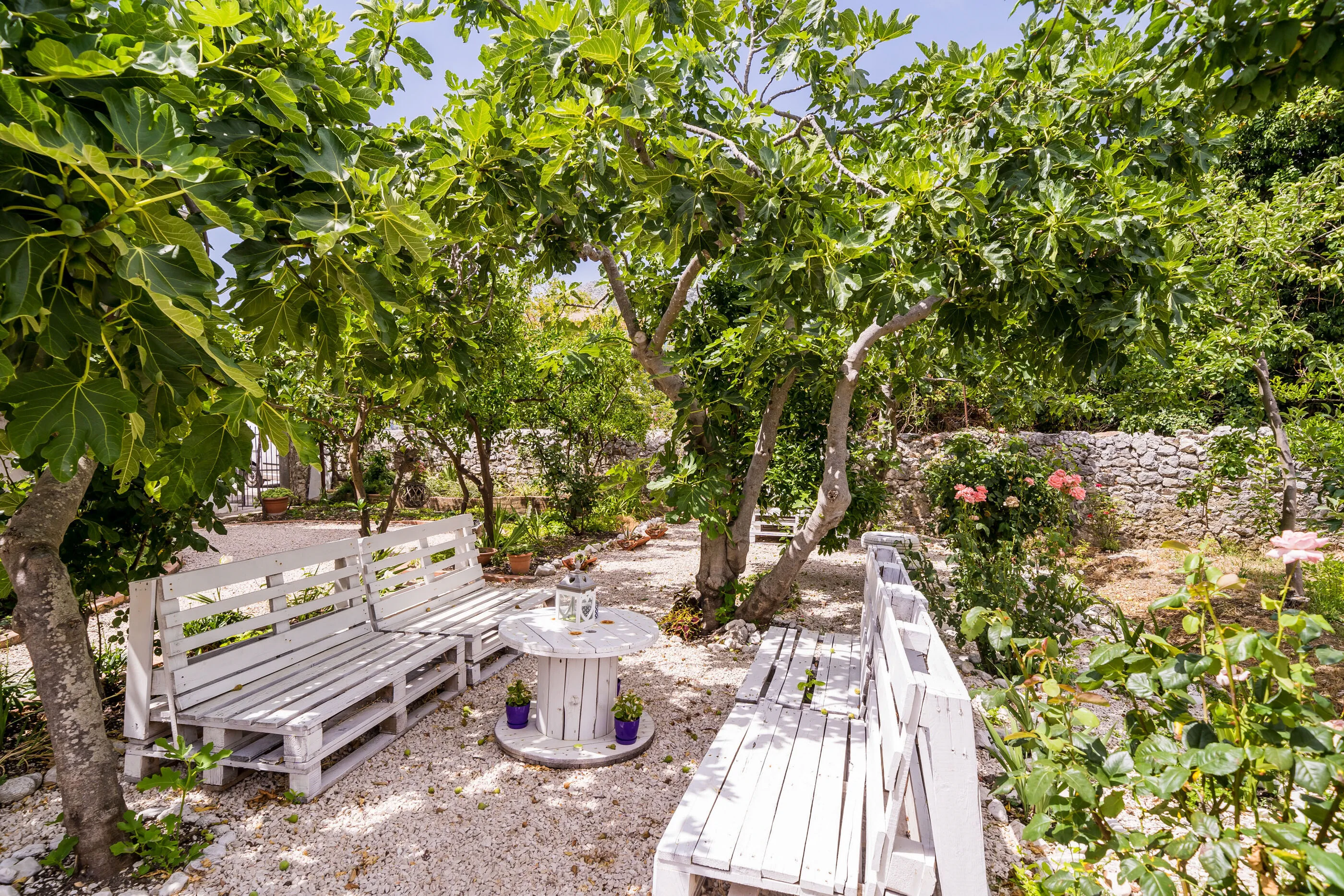 Apartments Davor Slano - foto 5