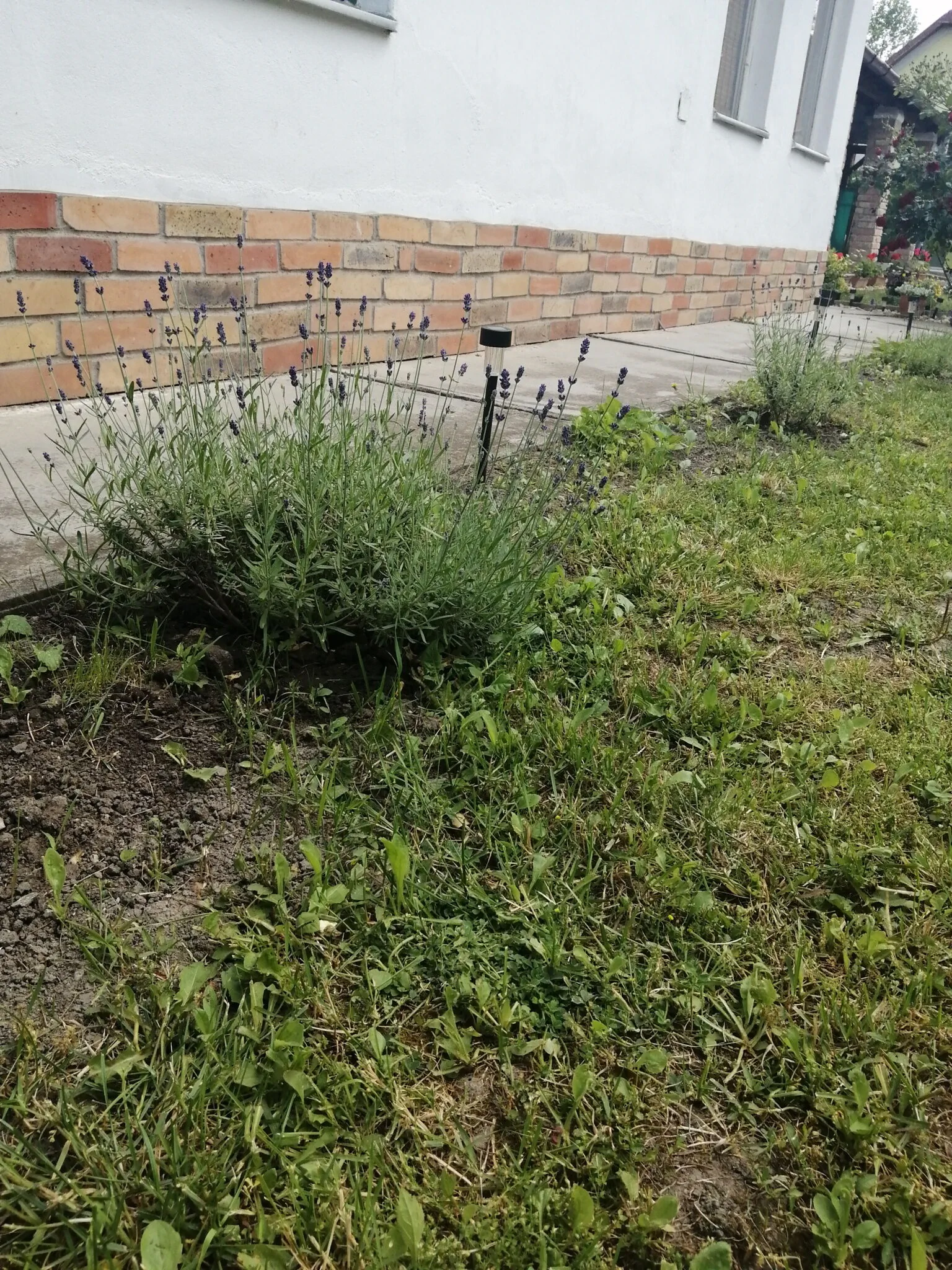 Boróka Vendégház Poroszló – Poroszló, Ungaria