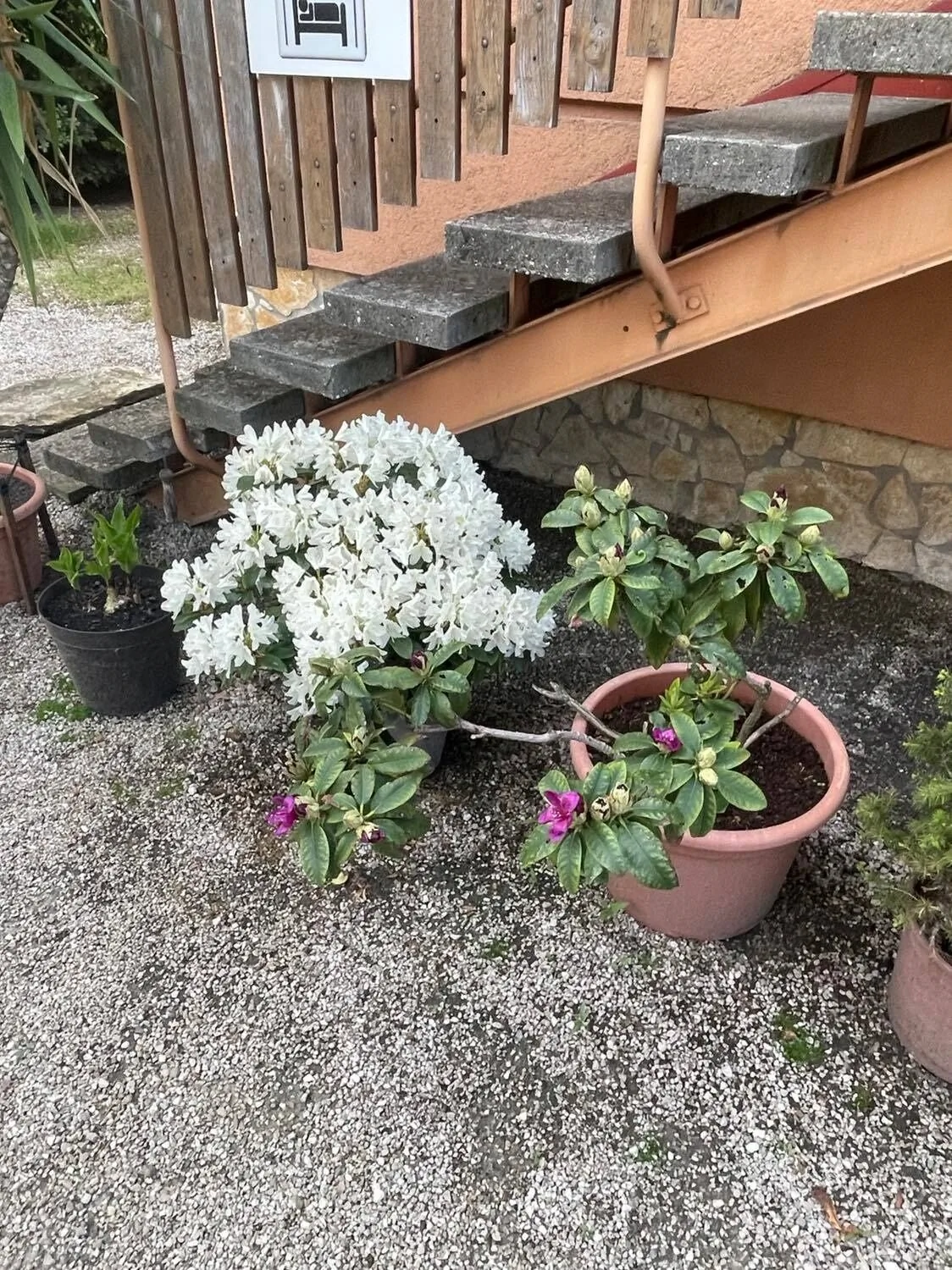 Magdolna Apartman Keszthely – Keszthely, Ungaria