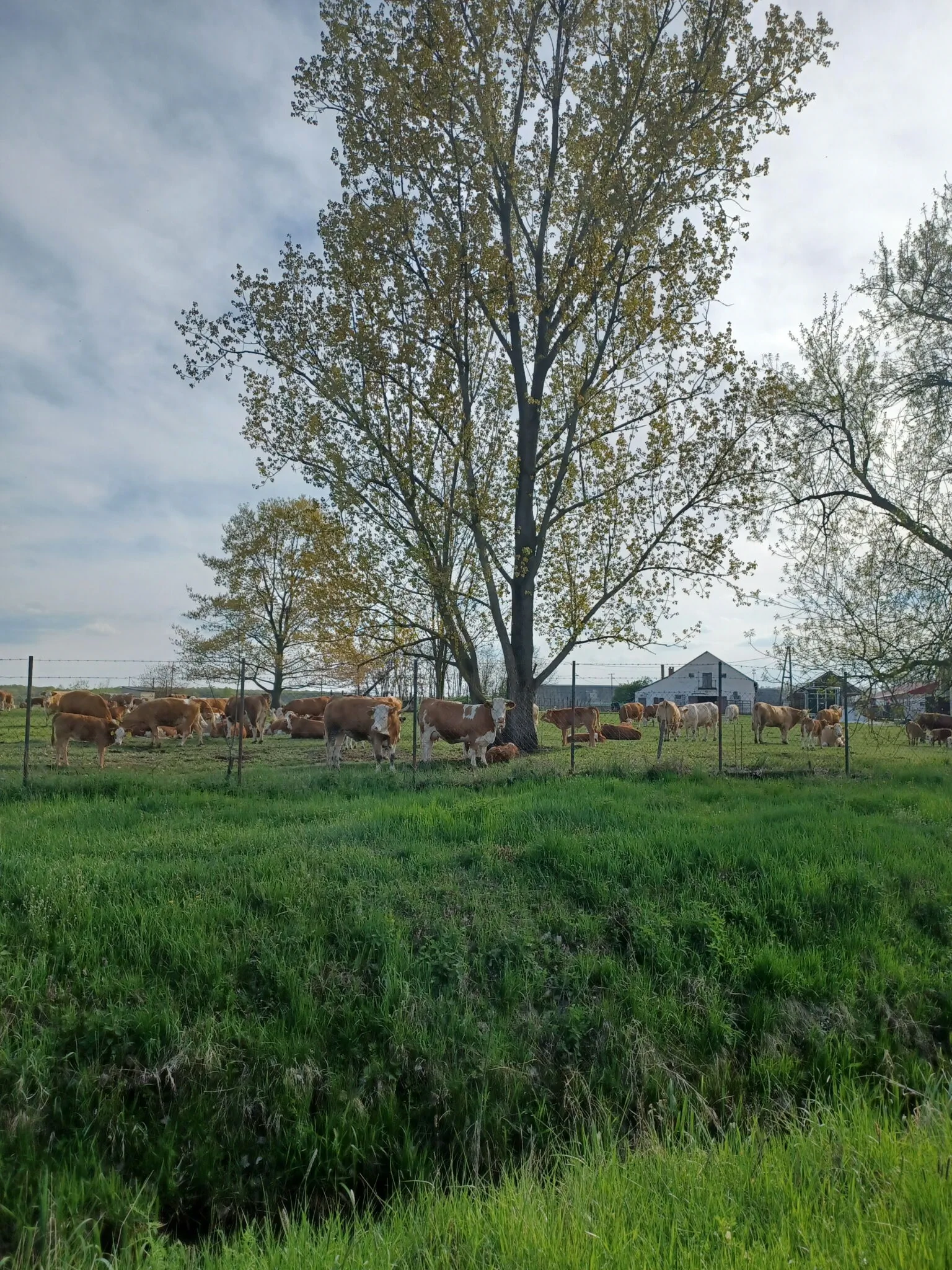 Idehaza Vendégház Kisszekeres – Kisszekeres, Maďarsko