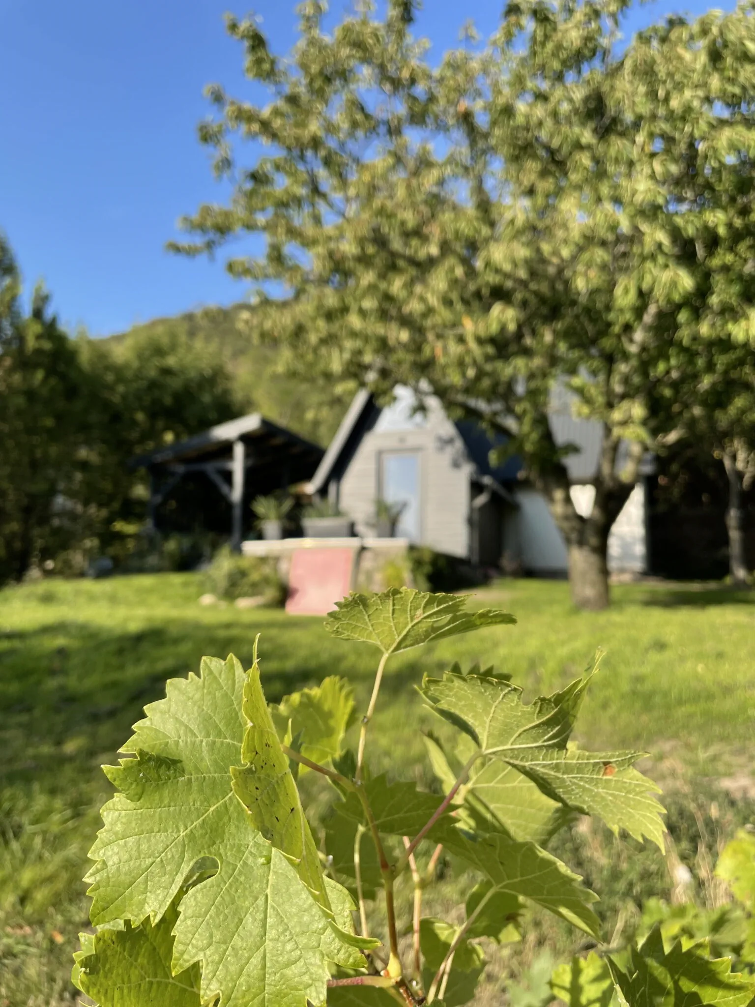 Fotel Csókakő - foto 10