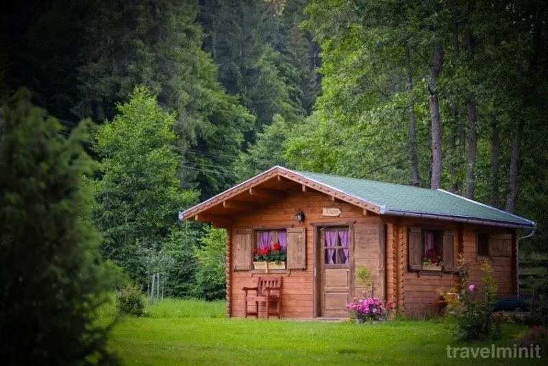 Vidra Park 2 Șicasău - foto 2