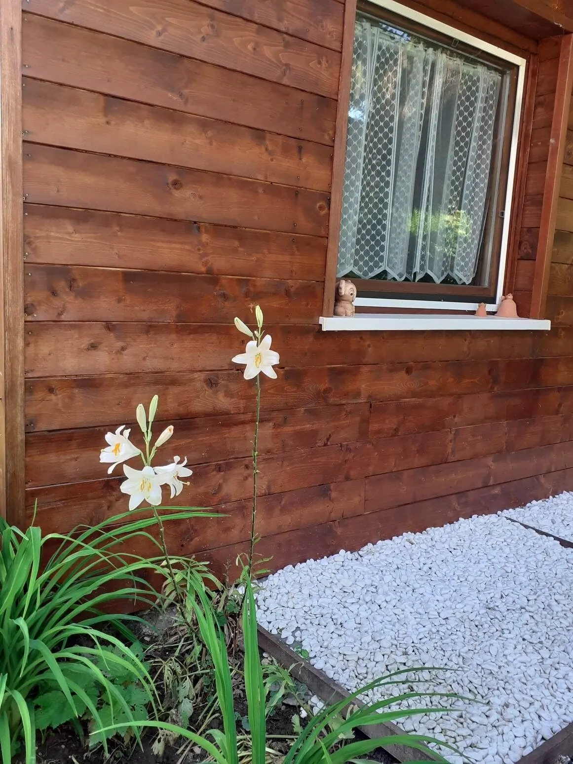 Szőlőfürt Apartman Balatonboglár – Balatonboglár, Ungaria