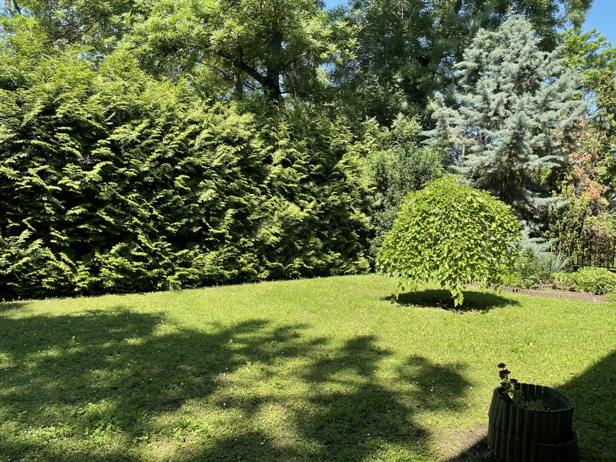 Mansion Vendégház Balatonszárszó – Balatonszárszó, Maďarsko