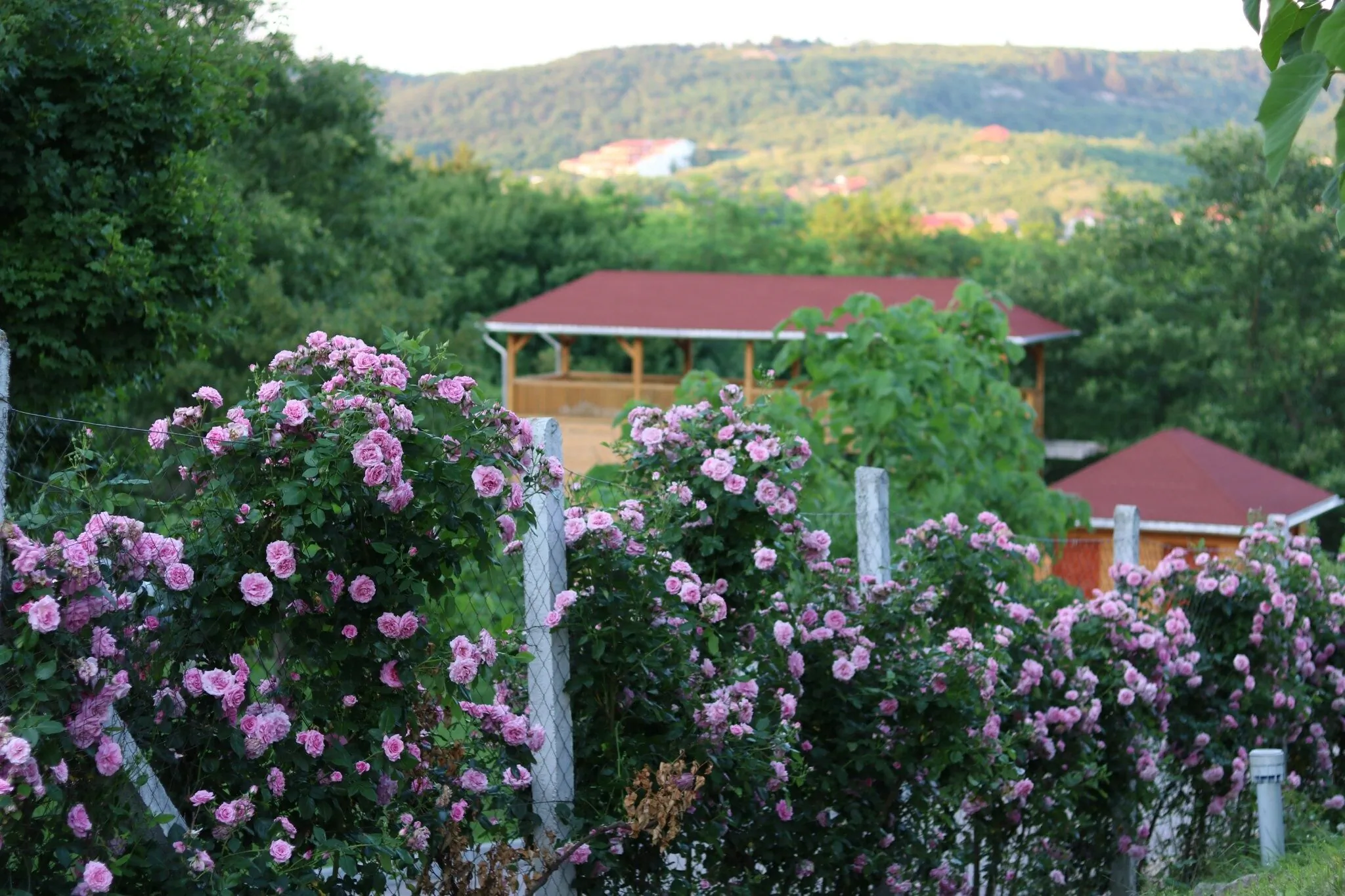 Rózsapark Panoráma Apartman Demjén - foto 2