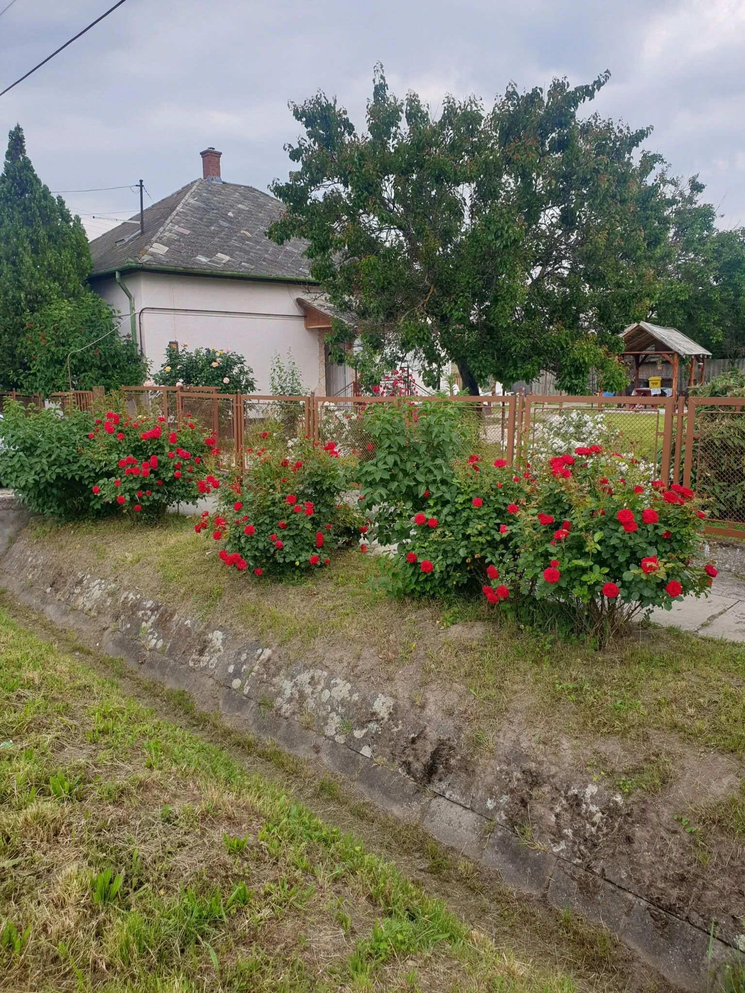 Janka Vendégház Abádszalók - foto 3