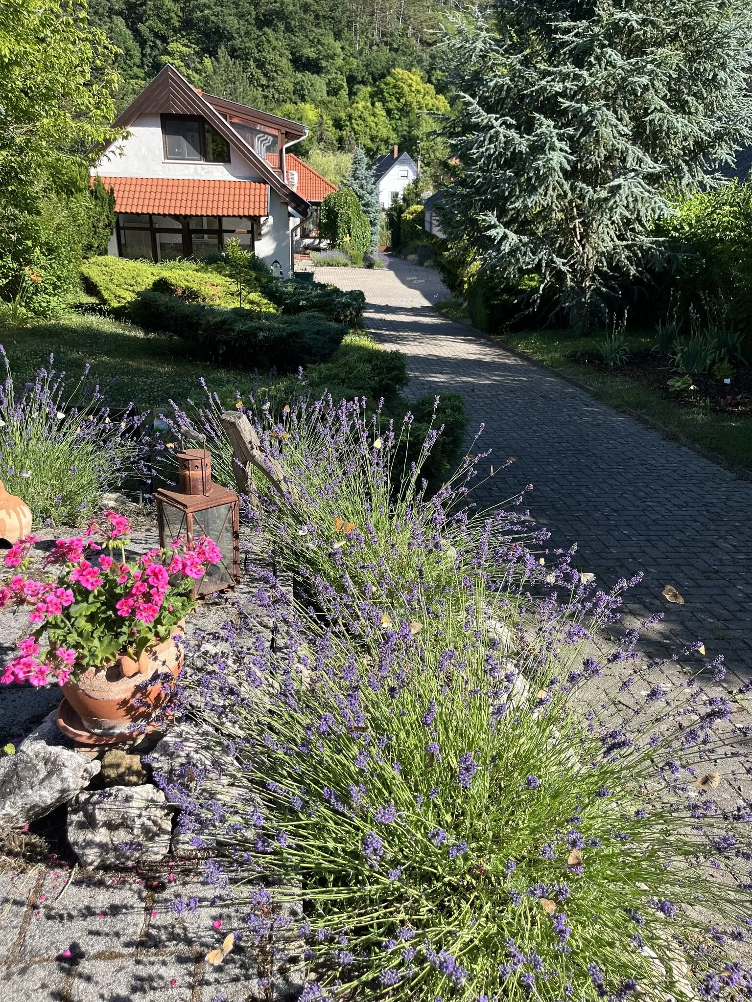 GuBó Vendégház Gánt – Gánt, Ungaria