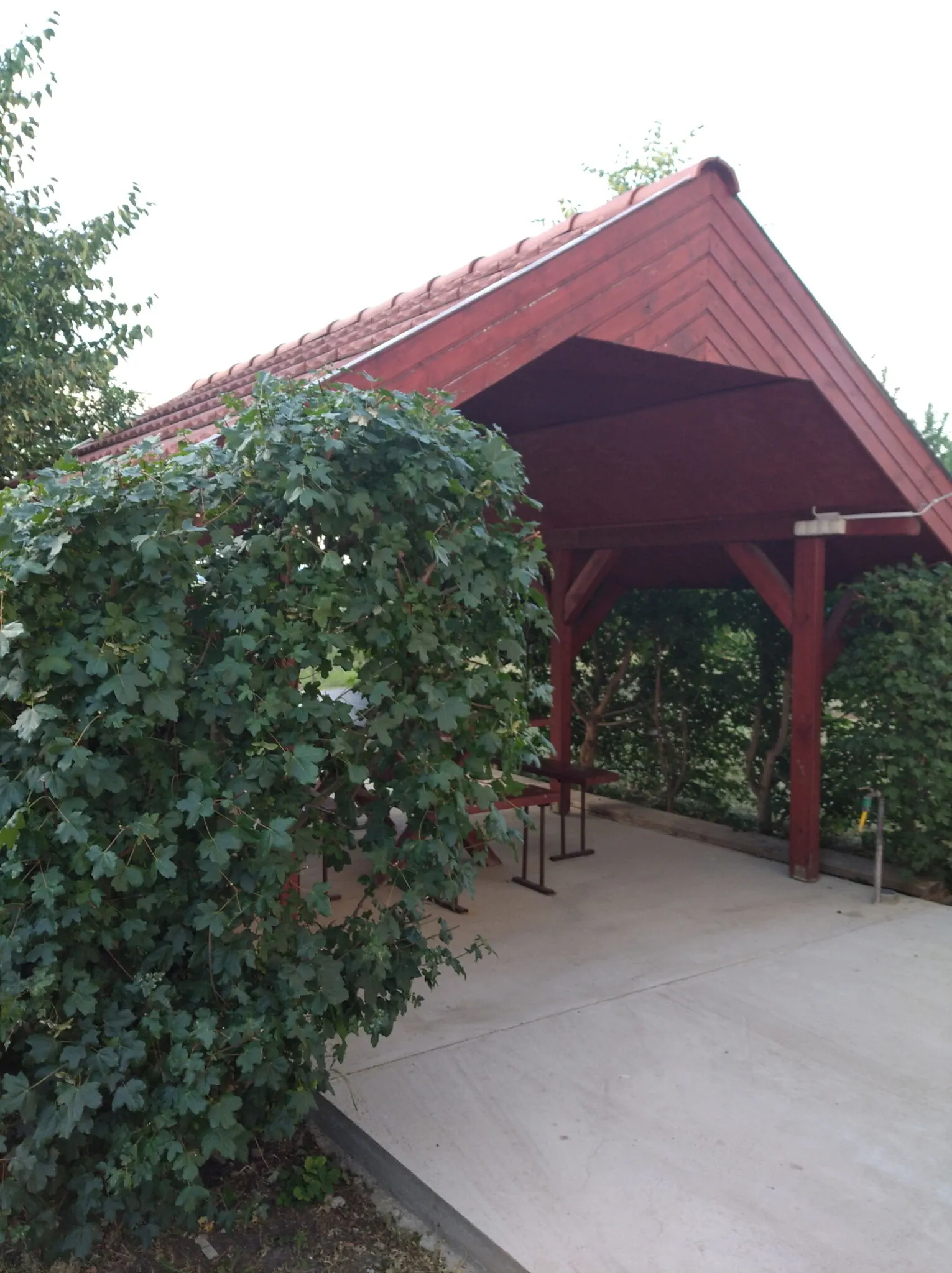 Csilla Vendégház Mezőkövesd Zsóryfürdő - foto 2